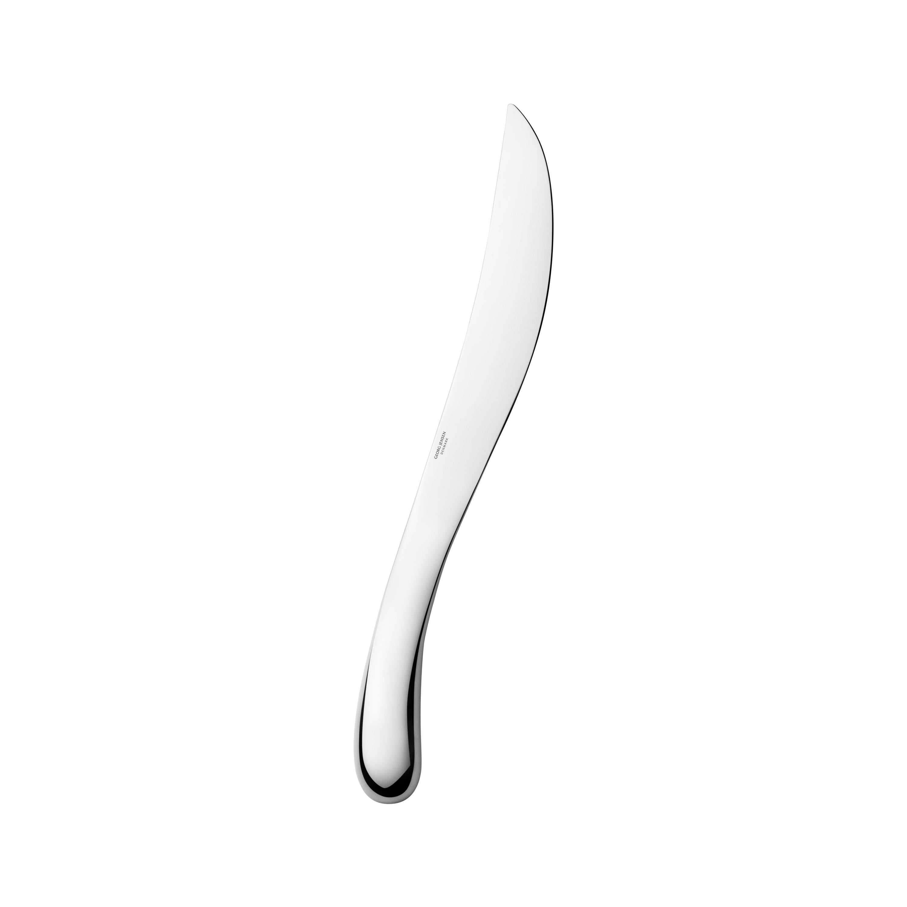 Georg Jensen Indulgence Champagne Sabre in Stainless Steel by Helle Damkjær For Sale