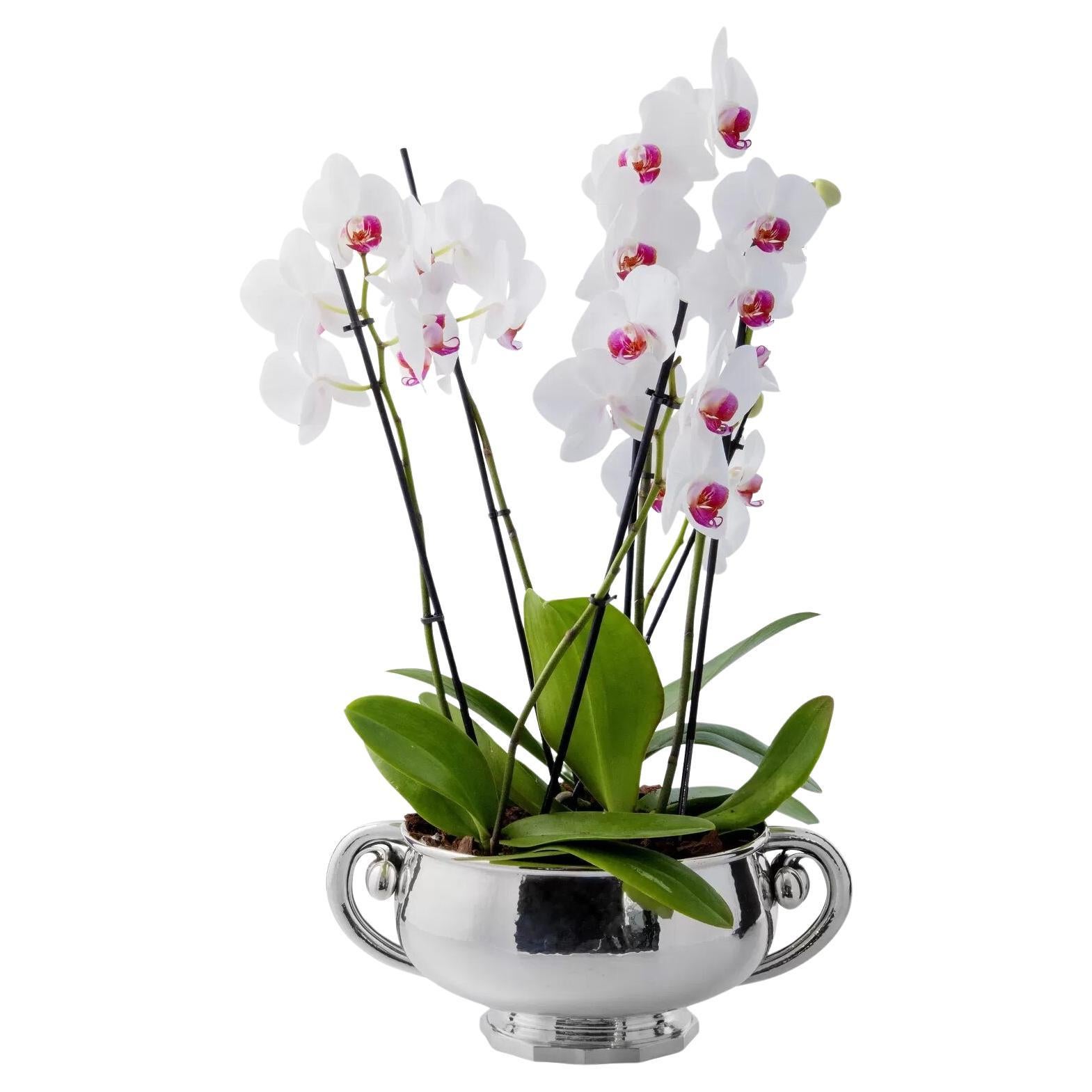 Georg Jensen Large Sterling Silver Centerpiece Bowl 501