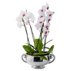 Georg Jensen Large Sterling Silver Centerpiece Bowl 501