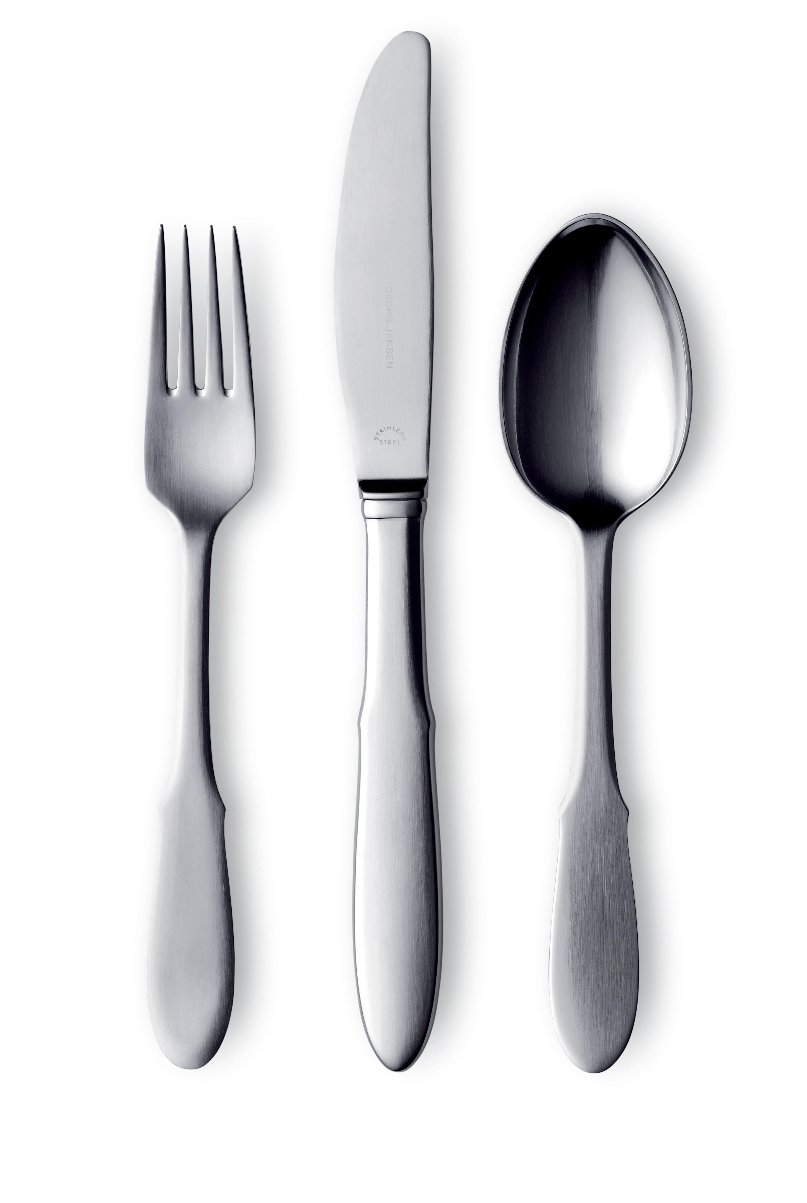 Stainless steel dinner fork.