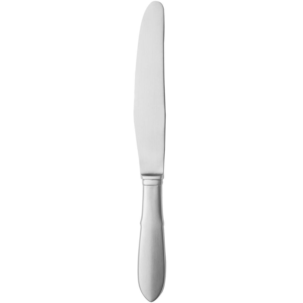 Large matte stainless steel dinner knife with mirror finish.