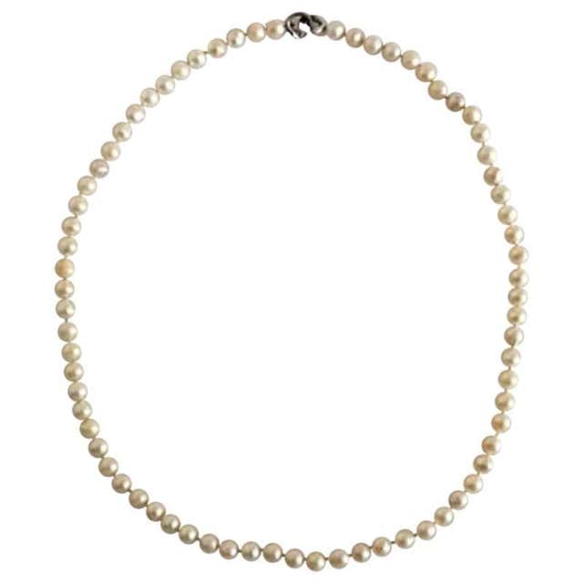 Georg k necklace Clearance