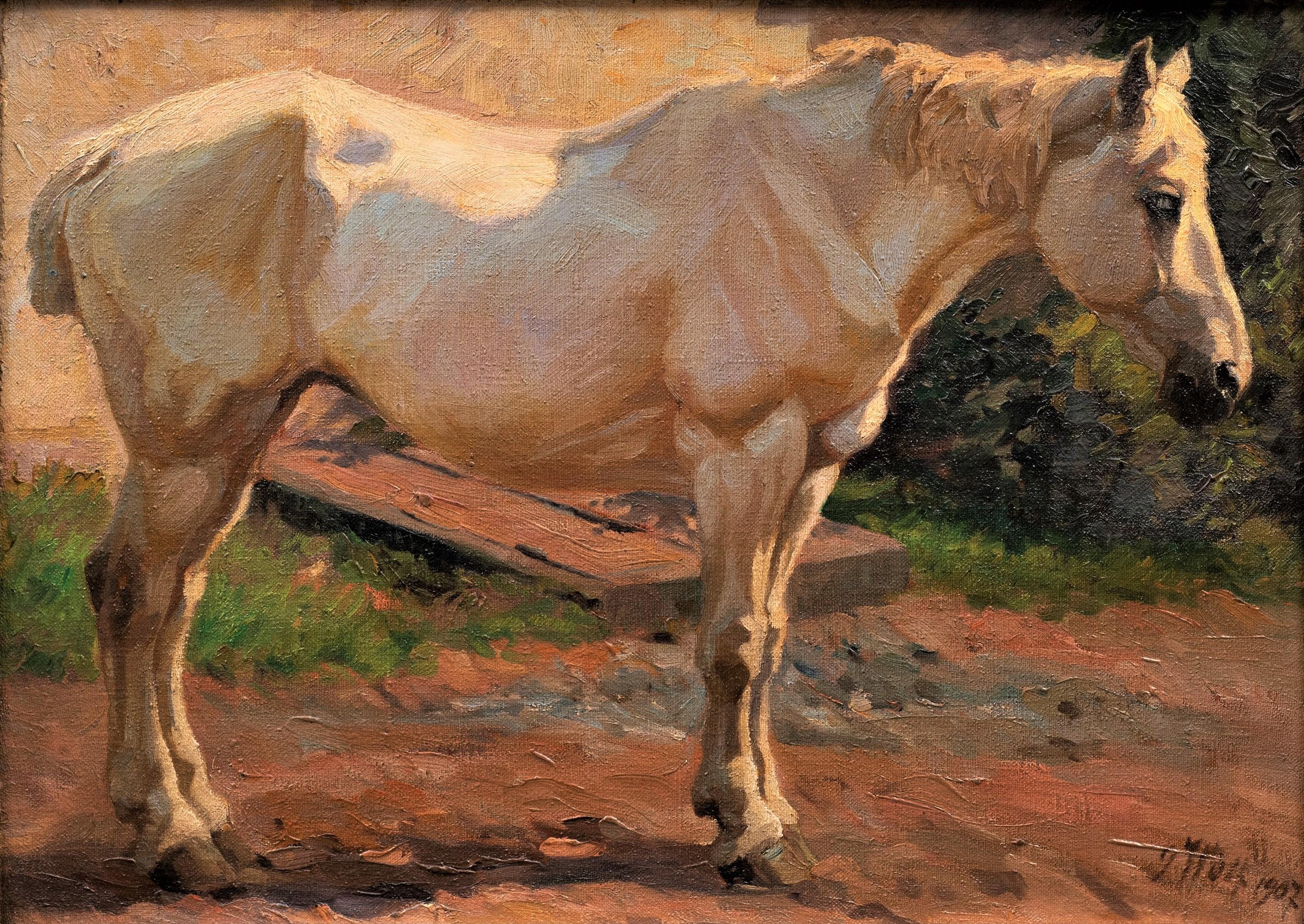 Peinture ancienne de cheval gris debout, tournée vers la droite Georg Wolf, datée de 1907 en vente 1