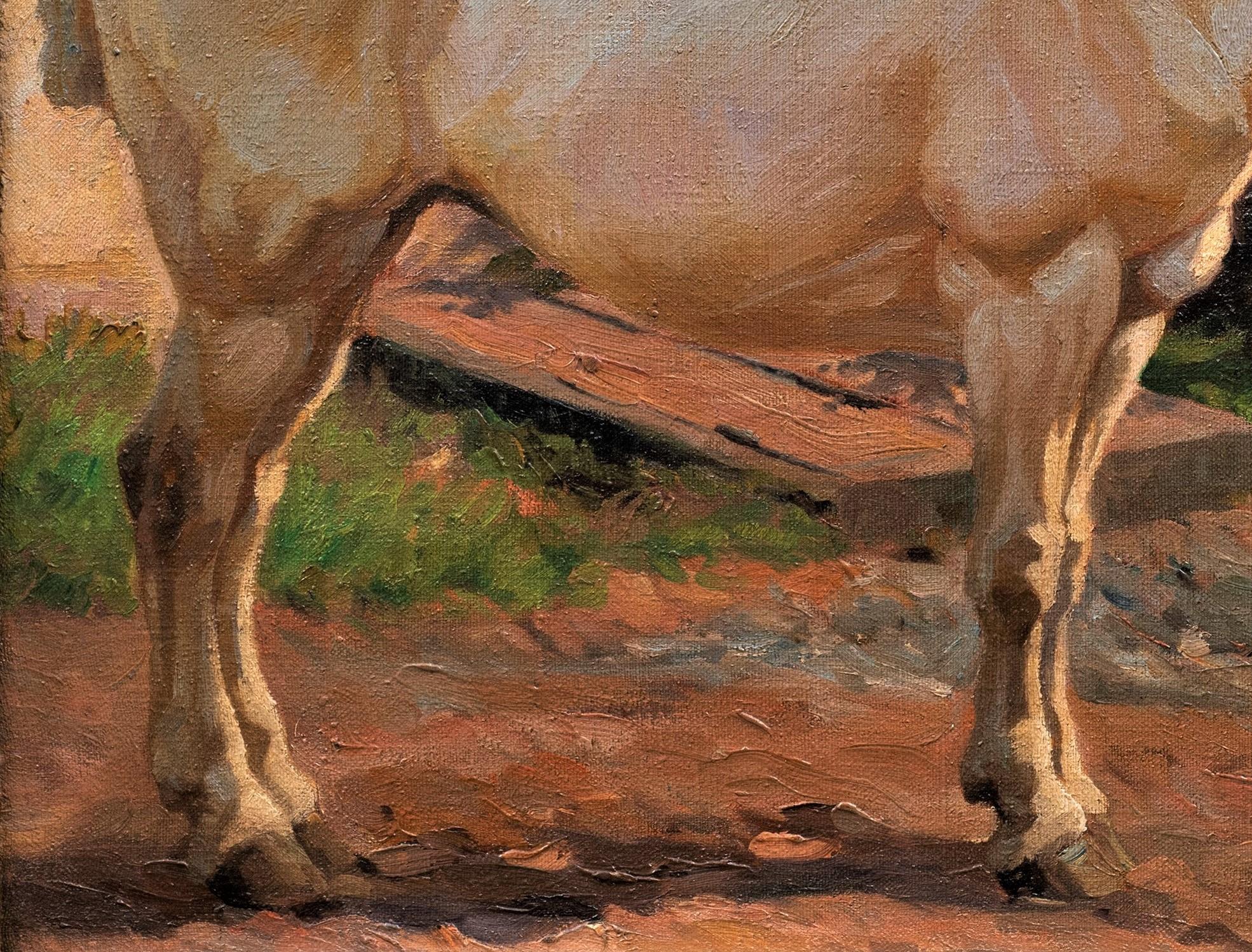 Peinture ancienne de cheval gris debout, tournée vers la droite Georg Wolf, datée de 1907 en vente 3
