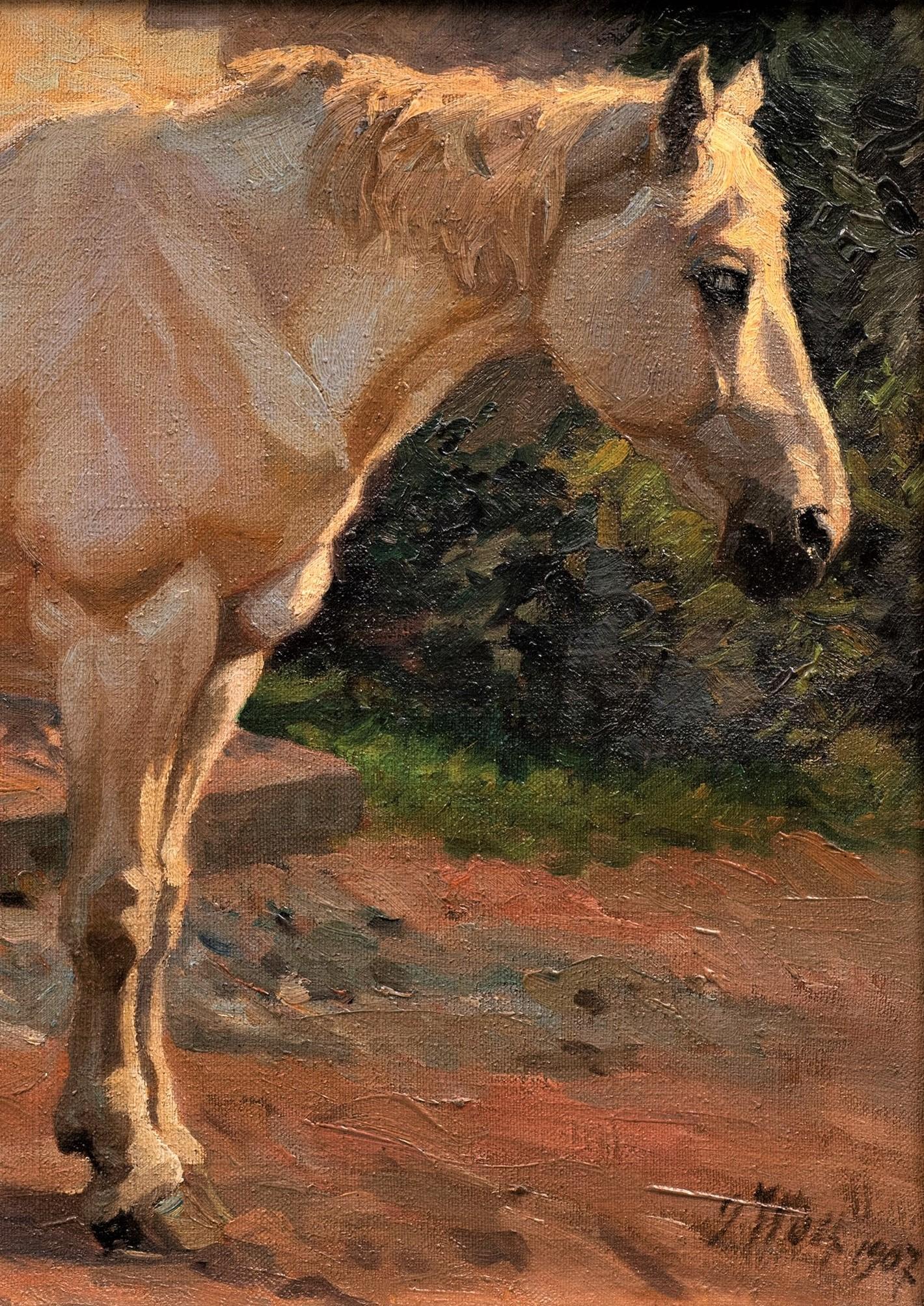 Peinture ancienne de cheval gris debout, tournée vers la droite Georg Wolf, datée de 1907 en vente 4