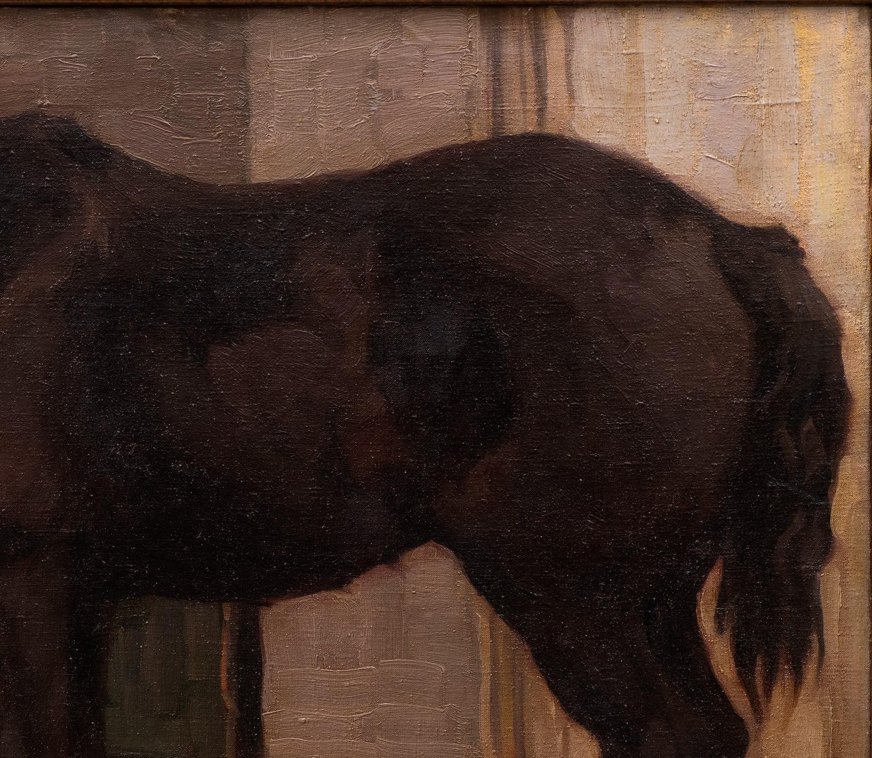 „Very Large Draft Horse Standing in a Barn“ Georg Wolf (Deutsch, 1882-1962) im Angebot 10