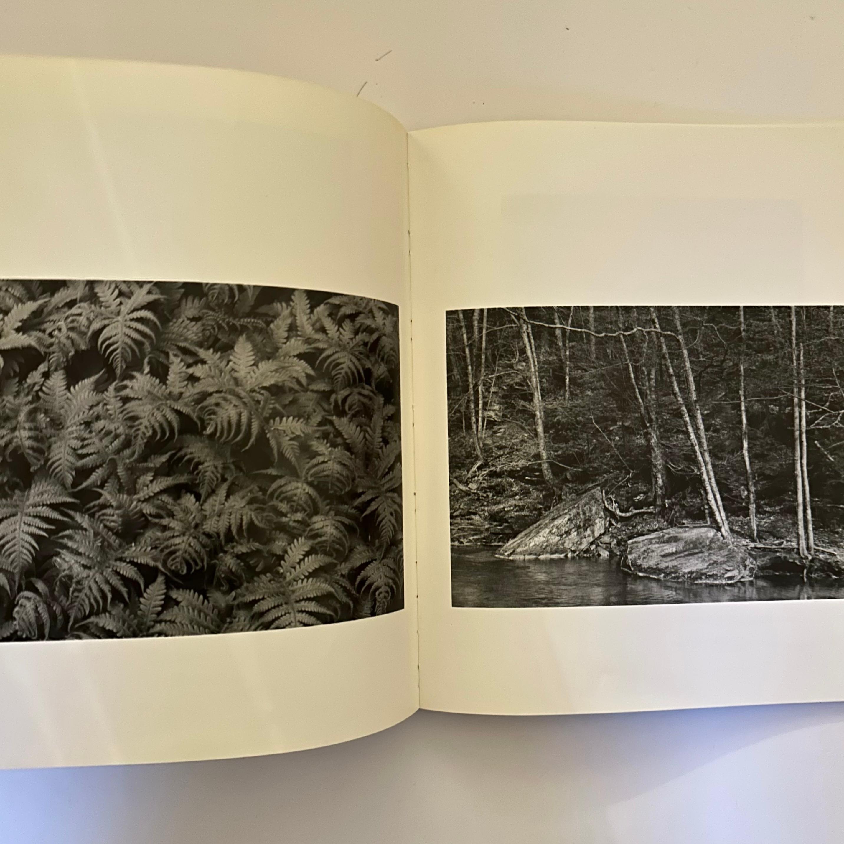 George A. Tice Photographs, 1953-1973 - 1st edition, 1975 2