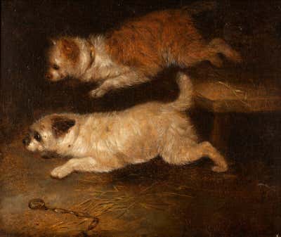 English Antique – 19. Jahrhundert Englisch Hund lgemlde Terrier Ratten