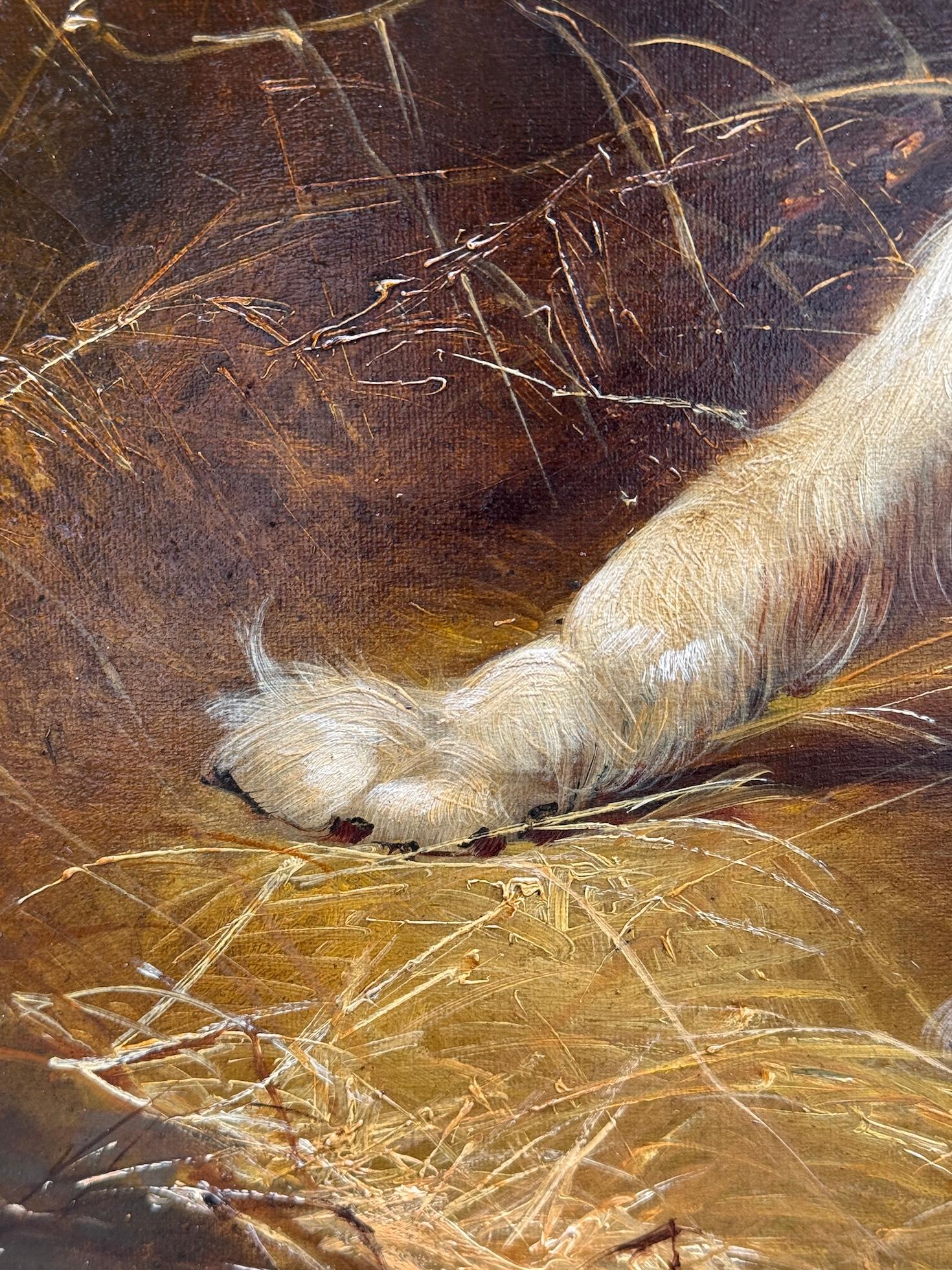 Englisches Porträt einer Frau aus dem 19.  Westie und Cairn Terrier in einer Scheune im Angebot 6