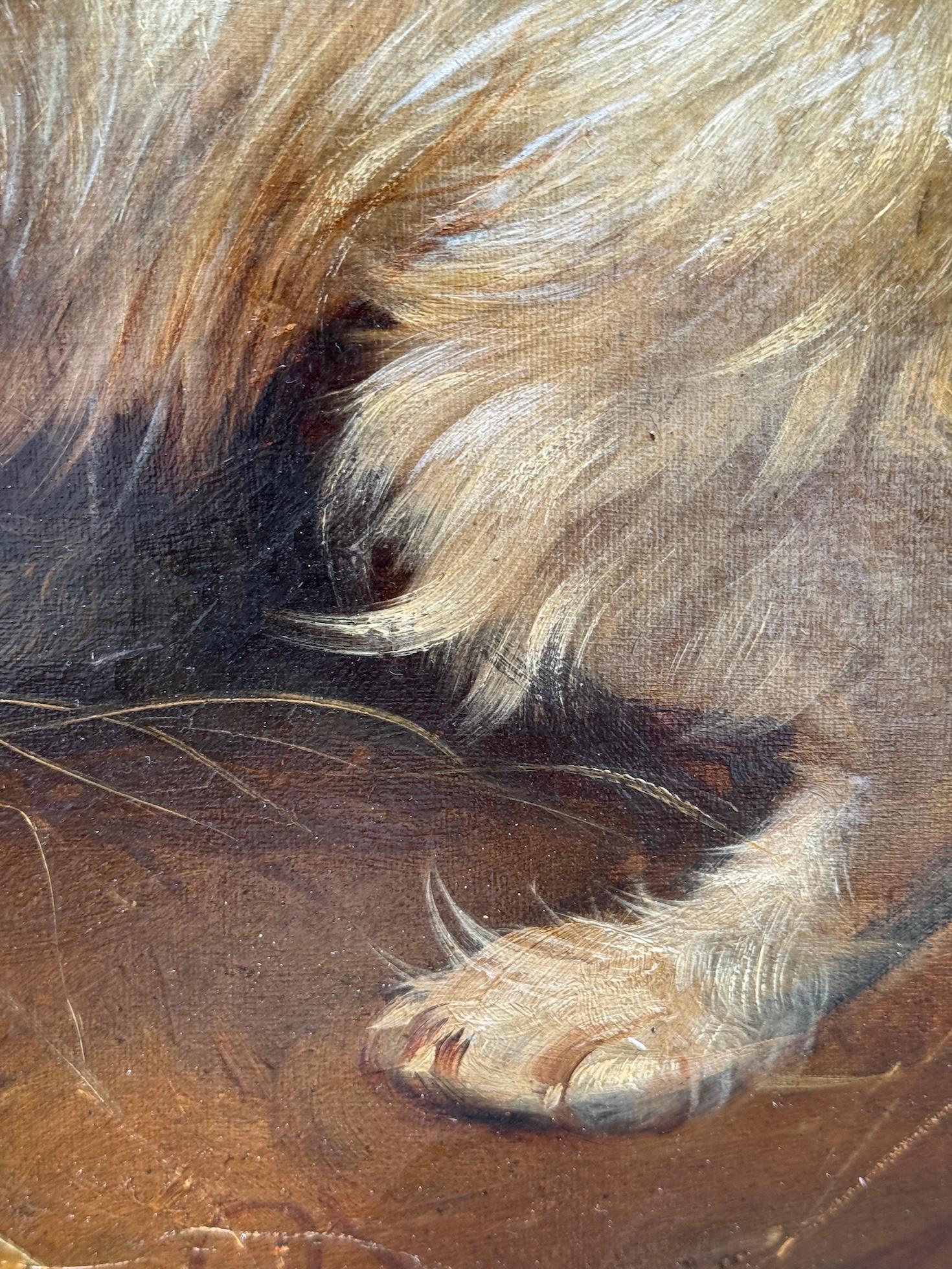 Englisches Porträt einer Frau aus dem 19.  Westie und Cairn Terrier in einer Scheune im Angebot 7