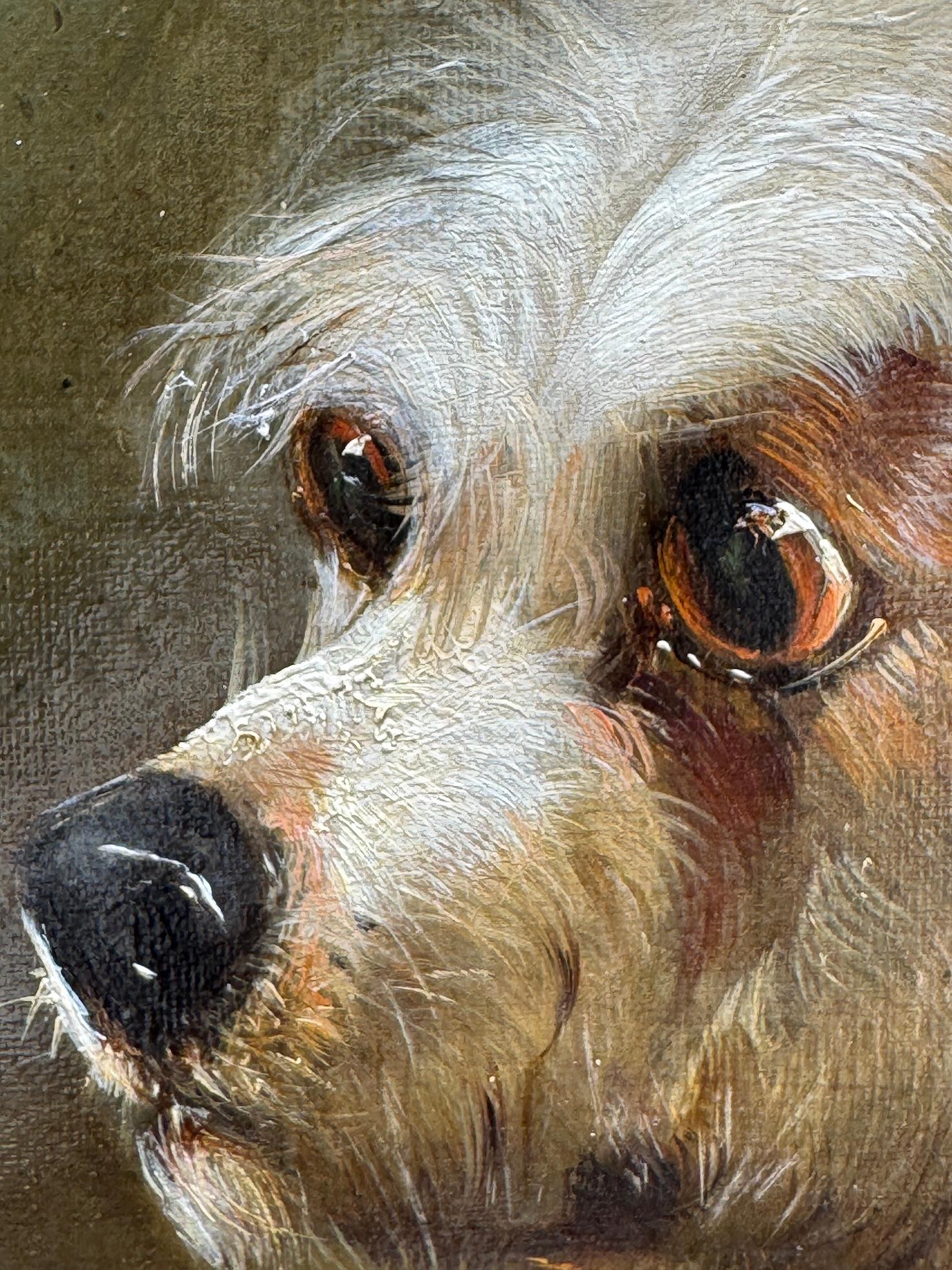 Englisches Porträt einer Frau aus dem 19.  Westie und Cairn Terrier in einer Scheune im Angebot 2