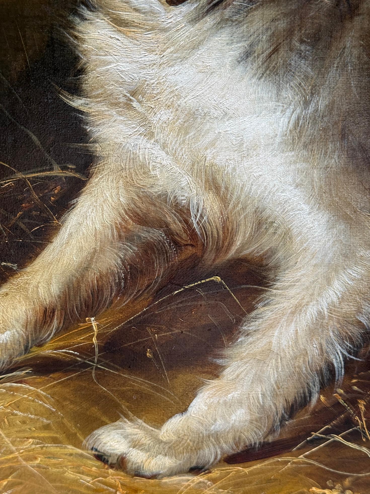 Englisches Porträt einer Frau aus dem 19.  Westie und Cairn Terrier in einer Scheune im Angebot 4