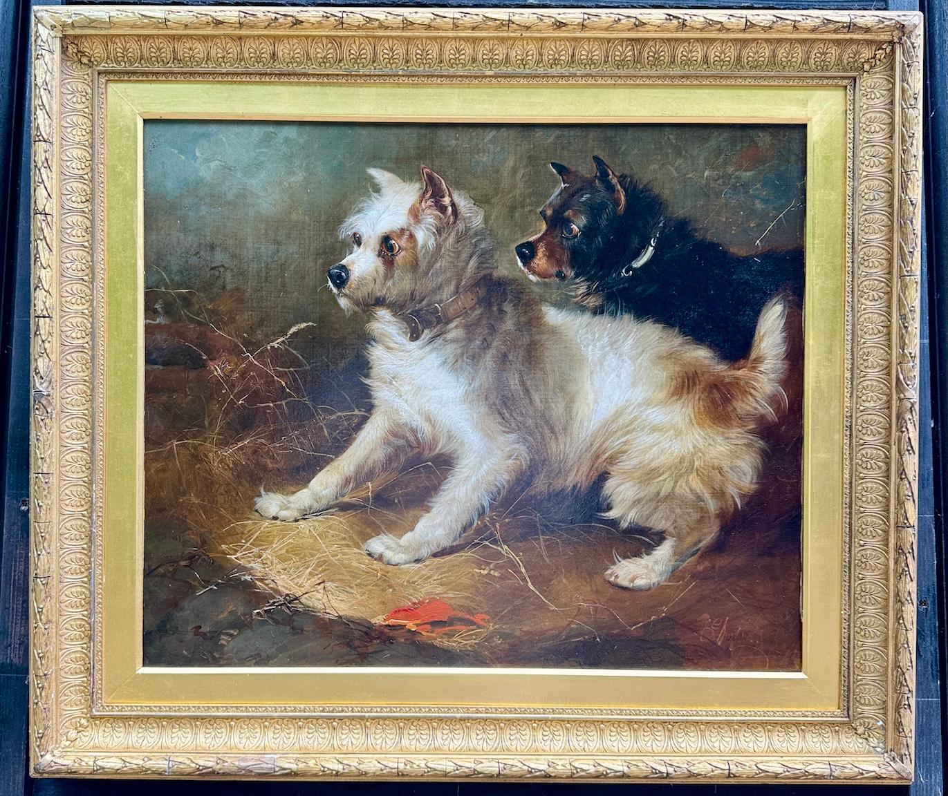 George Armfield Animal Painting – Englisches Porträt einer Frau aus dem 19.  Westie und Cairn Terrier in einer Scheune