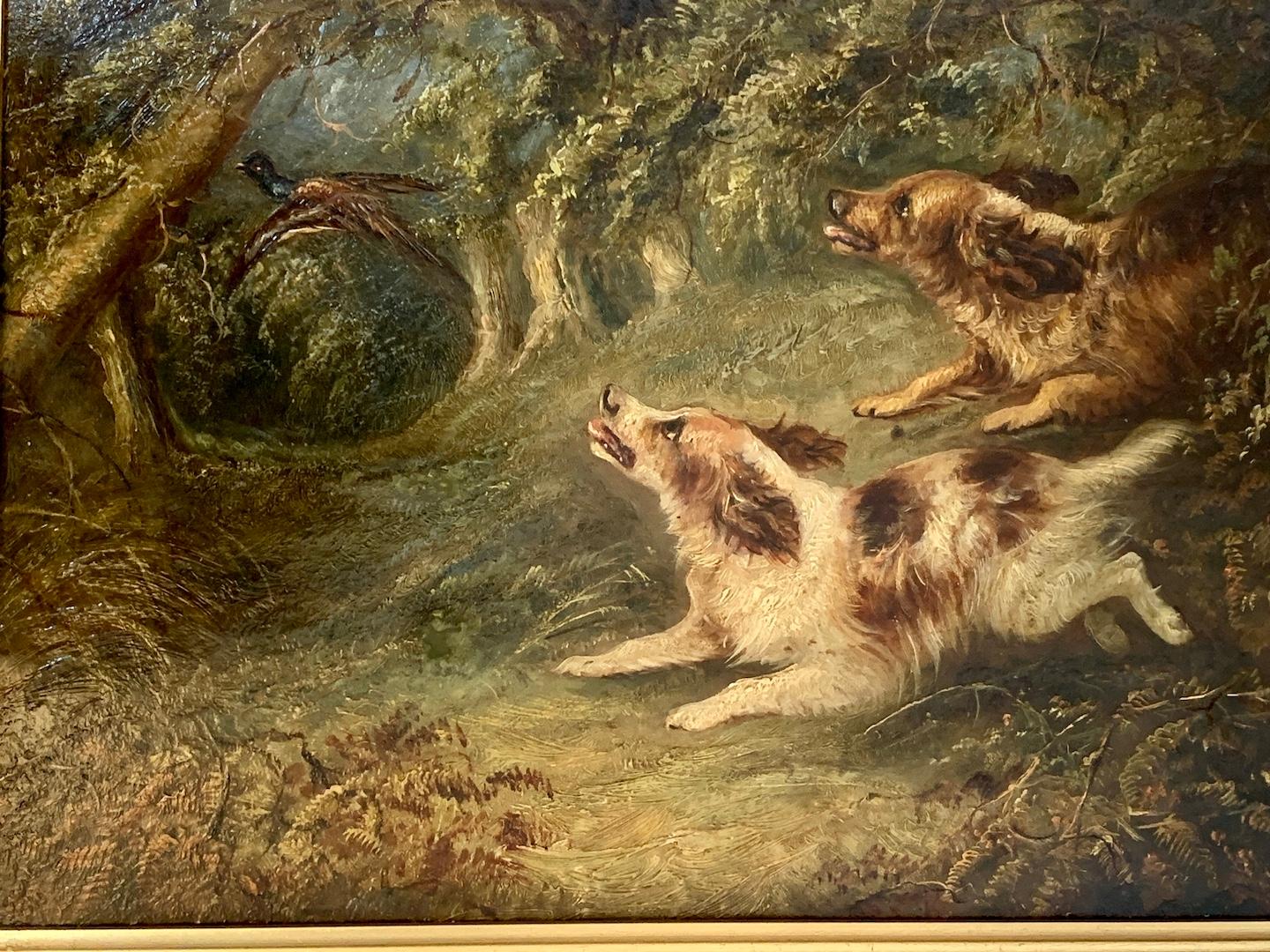 Ottocento inglese , due cani spaniel che inseguono un fagiano in un paesaggio - Painting di George Armfield