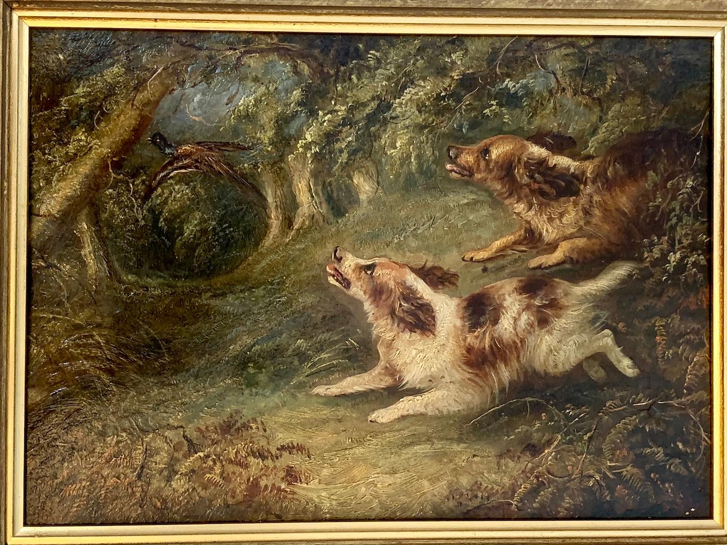 Ottocento inglese , due cani spaniel che inseguono un fagiano in un paesaggio 1