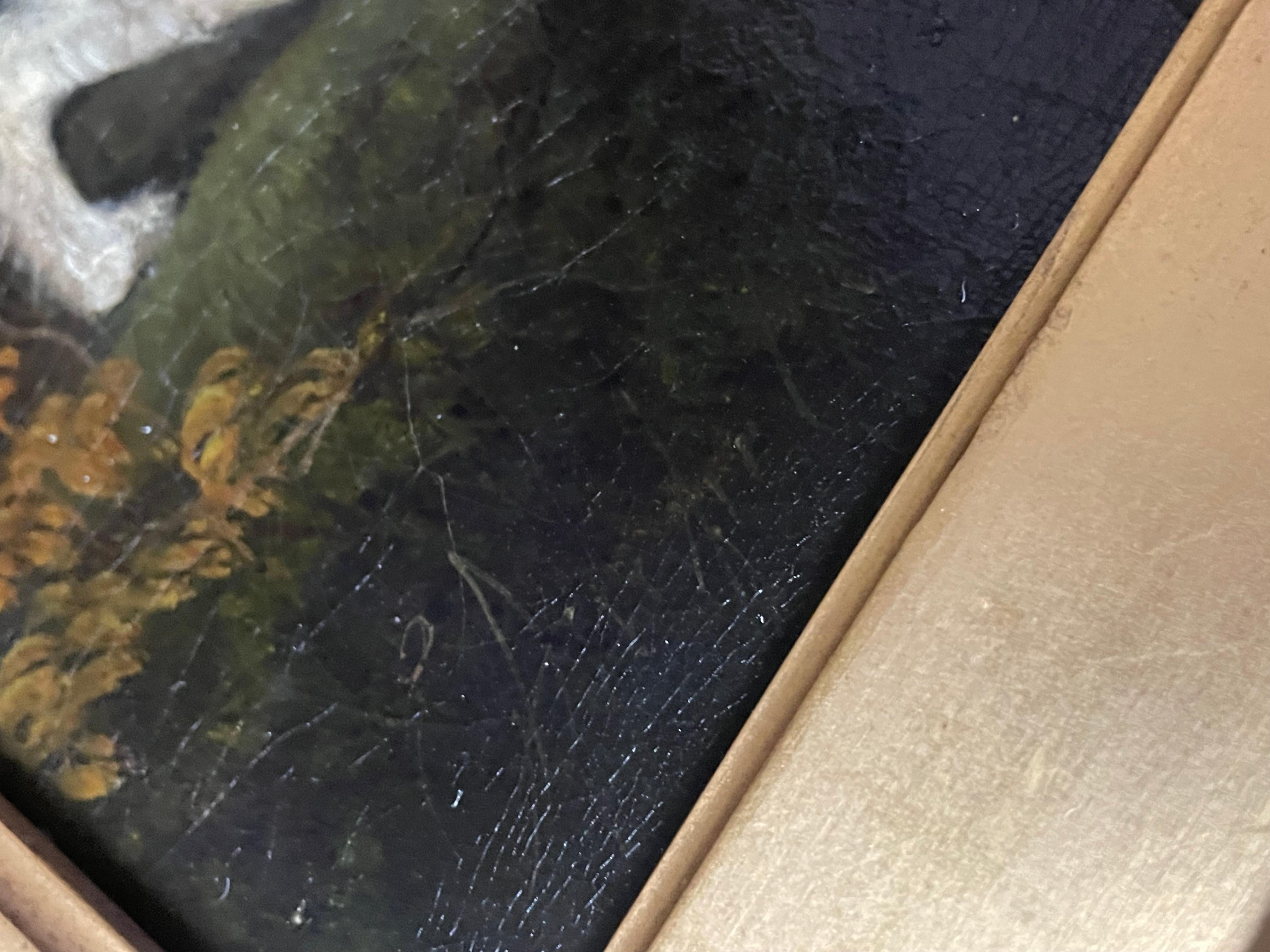 19. Hund Gemälde auf Leinwand im Angebot 3