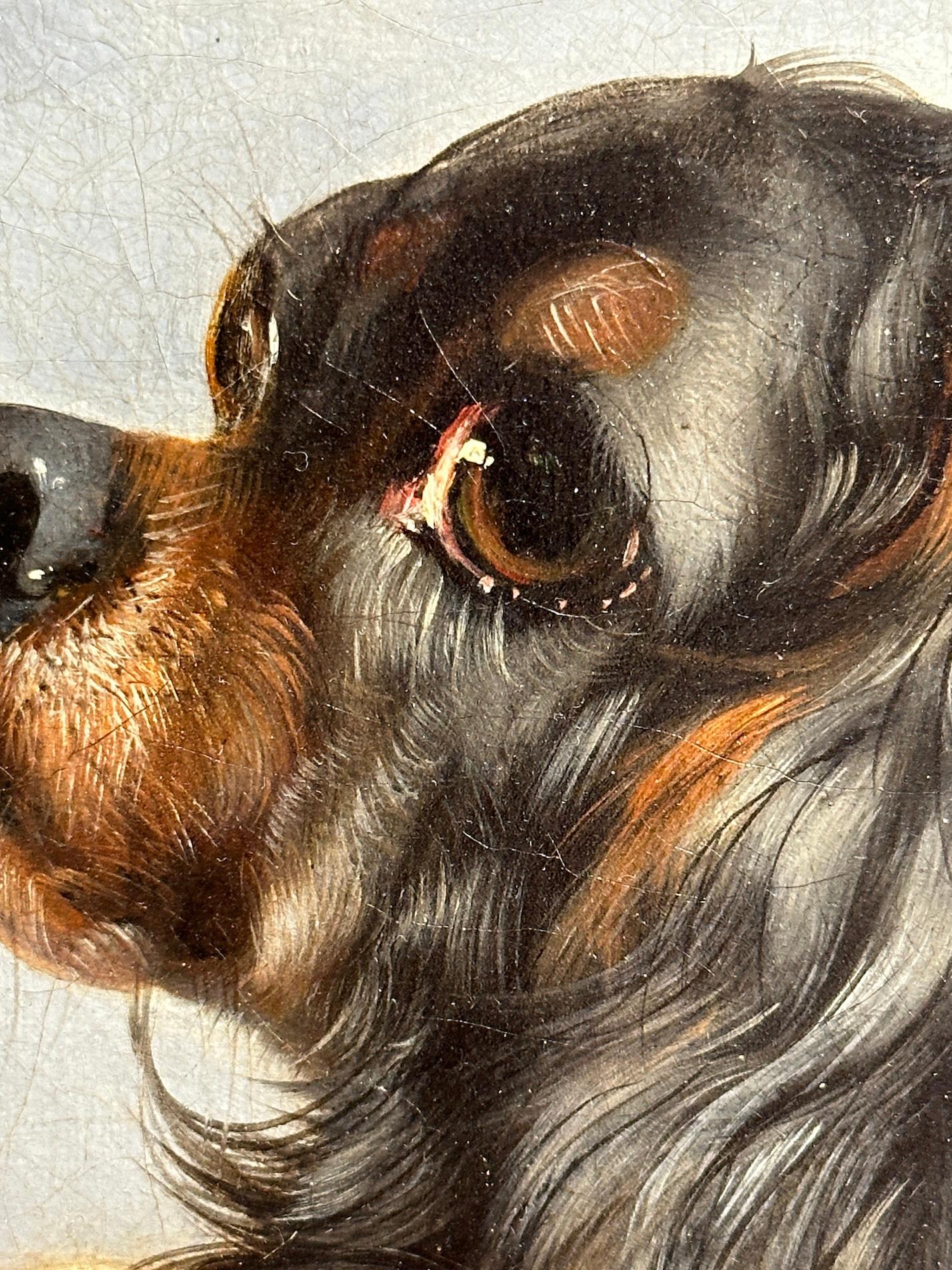 Antique English 19th Century, King Charles Cavalier and Westie dogs in a room For Sale 1