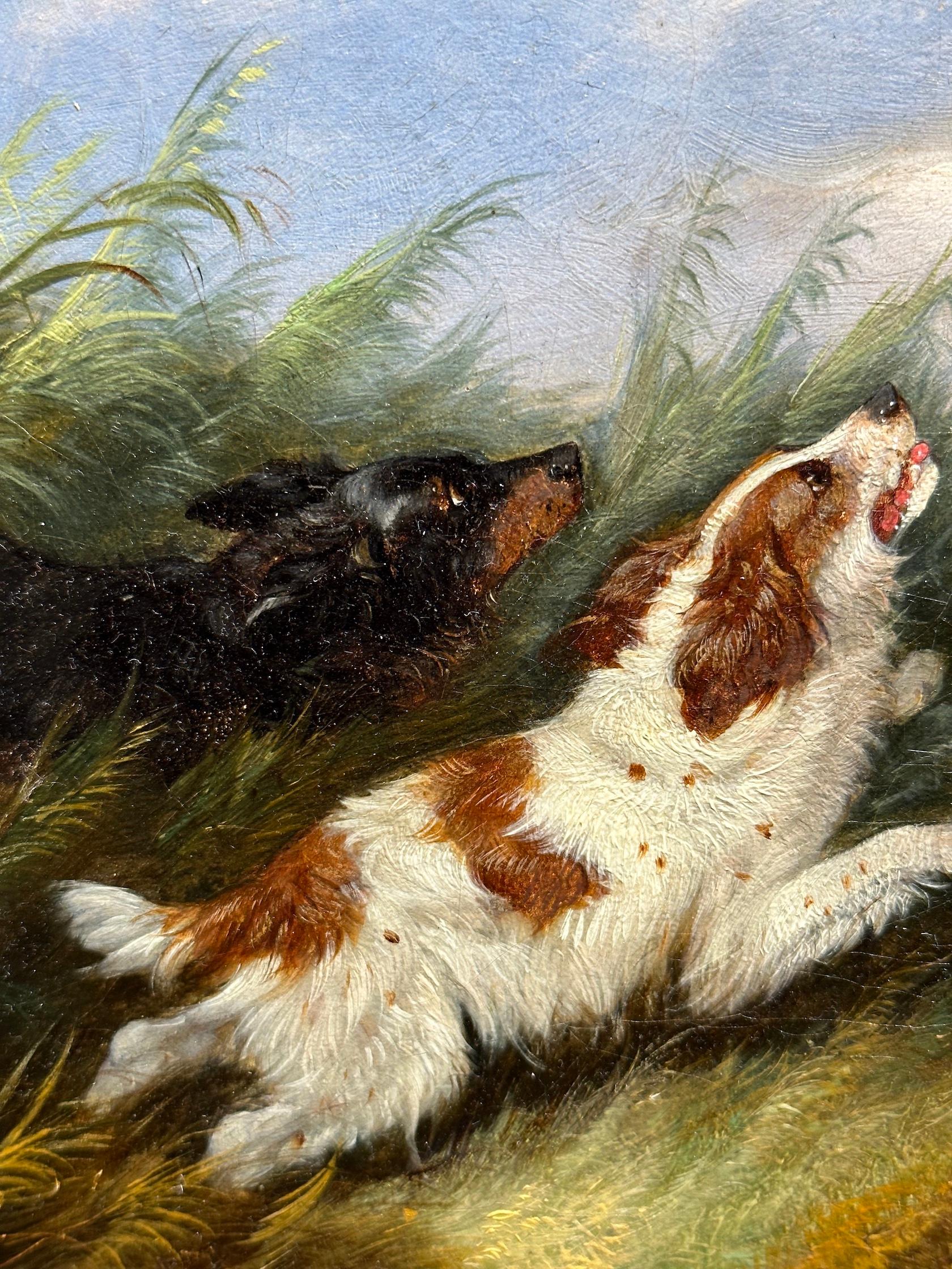 Antique Victorian English 19th C portrait of English Spaniel dogs in a landscape chasing ducks.
 
George Armfield was a mid-Victorian painter of mostly dog scenes but also painted other animal subjects such as interiors with huntsmen and simple