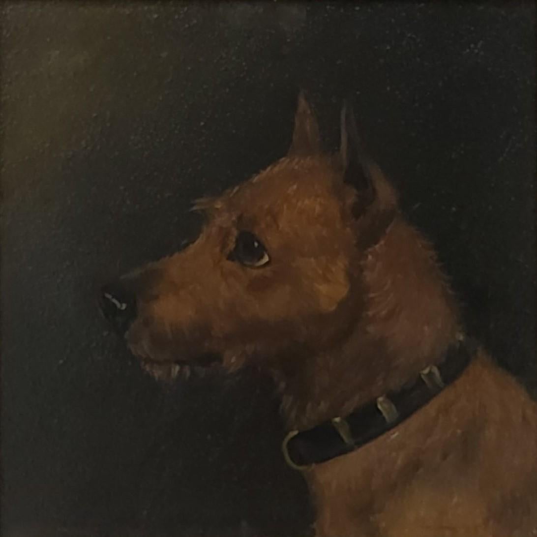 Brown Terrier - Painting by George Armfield