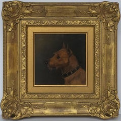 Brown Terrier