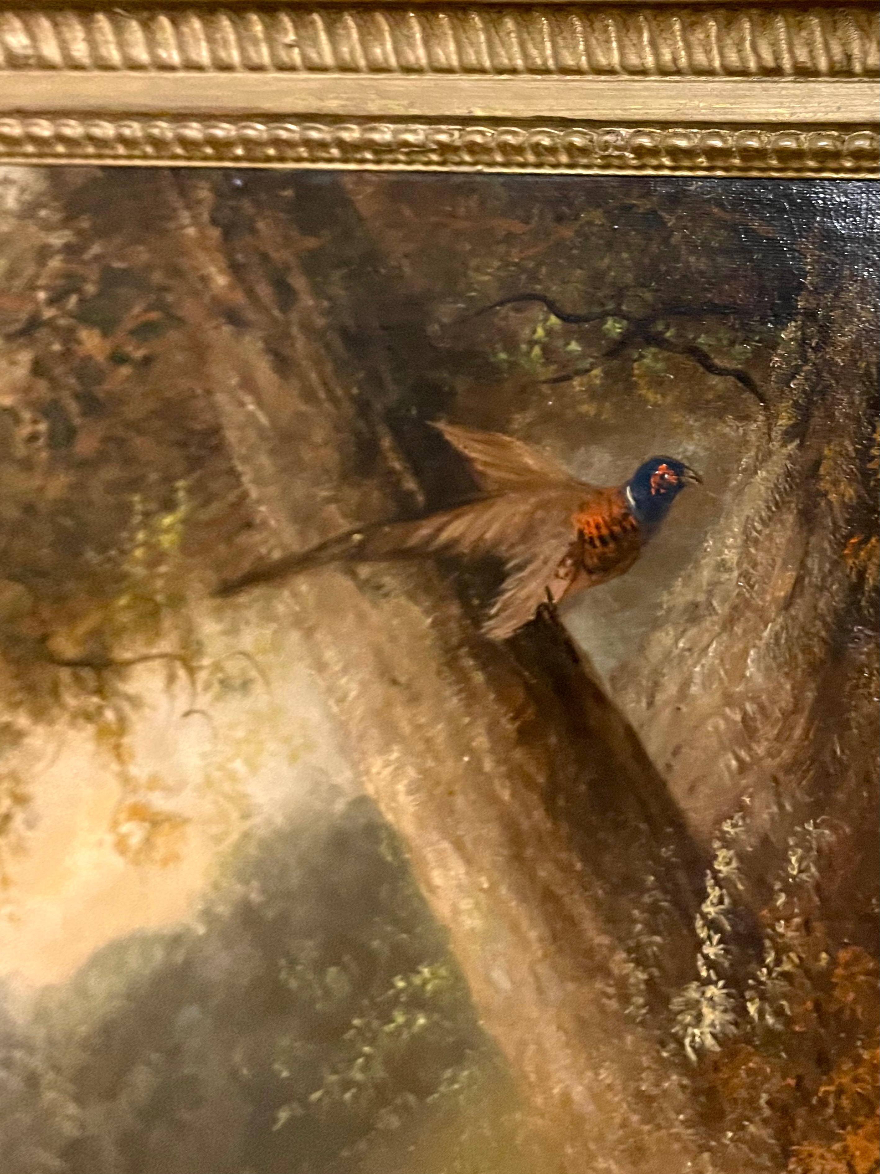 Master painter of this genre, George Armfield is renowned for his depictions of dogs in the chase. Here a pheasant sails safely above their heads, while the dogs enjoy the chase below.  Oil painting on canvas, in fine gilt frame, the painting has