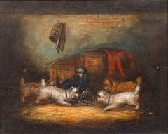 Circle of George Armfield (1808-1893) - Framed Oil, Five Terriers Ratting