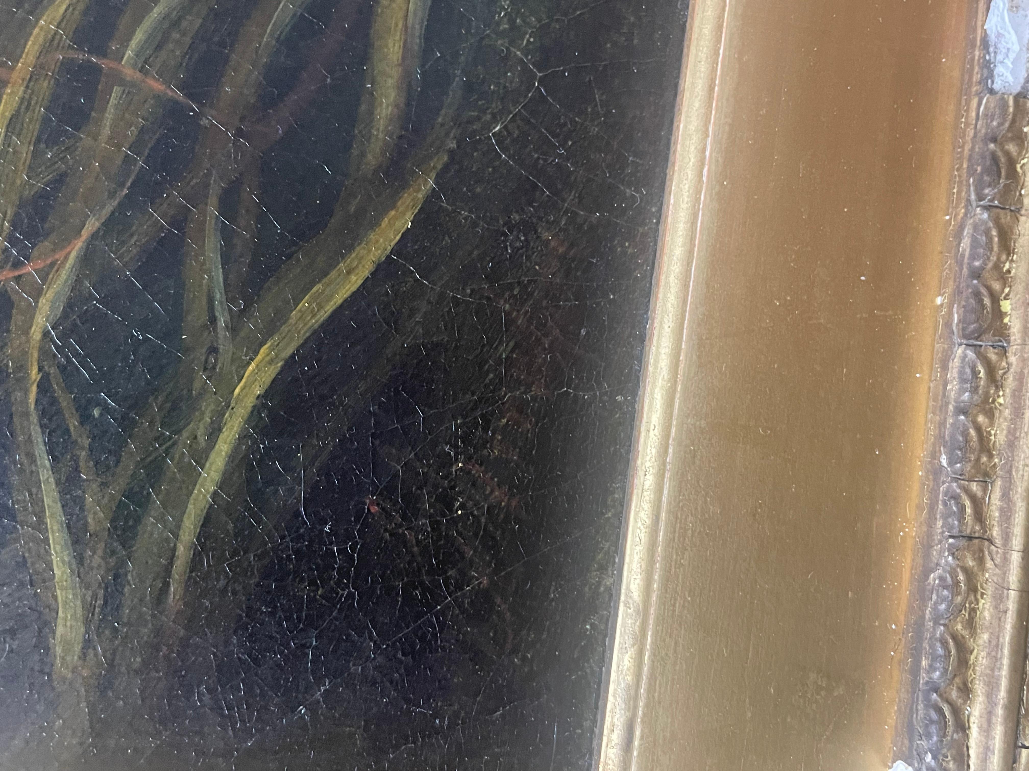 Si tratta di un dipinto originale di George Armfield firmato in basso a sinistra. Il telaio è molto vecchio e presenta alcune scheggiature. La pittura è in buono stato, con qualche screpolatura dovuta all'età. 