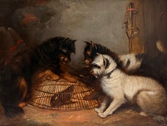 Fine English Sporting Oil Painting Three Terriers with Caged Rat Barn Interior (peinture à l'huile de trois terriers et d'un rat en cage à l'intérieur d'une grange)