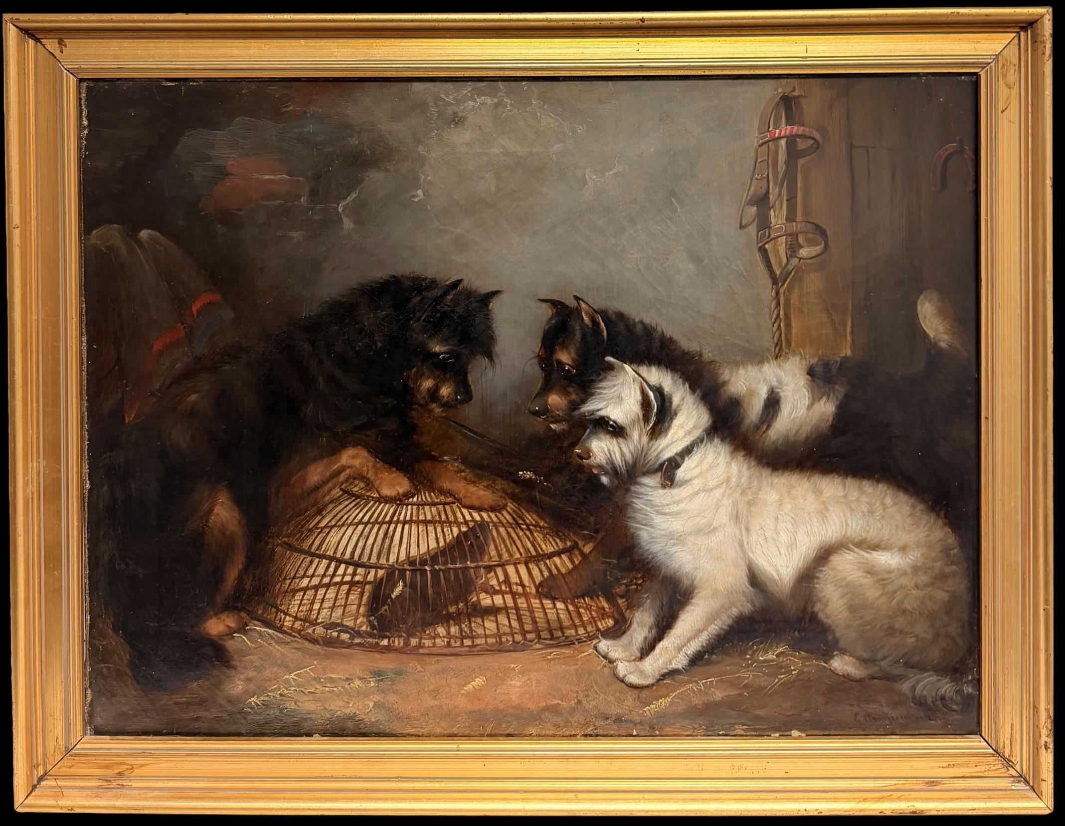 George Armfield Animal Painting – Fine English Sporting Ölgemälde Drei Terrier mit Rattenkäfig Scheune Interieur