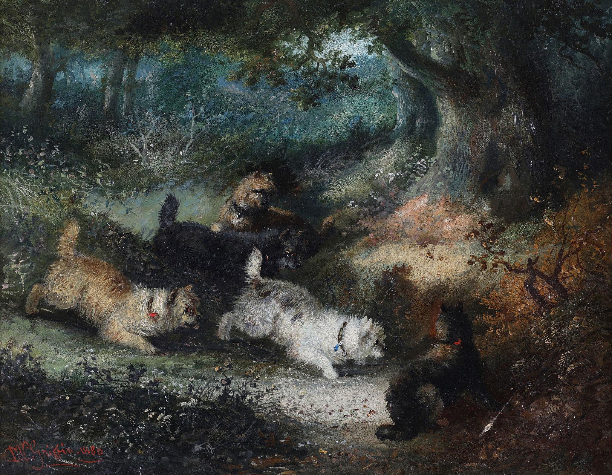 Cinco Terriers en el Bosque. Firmado D. Griffin - Painting de George Armfield