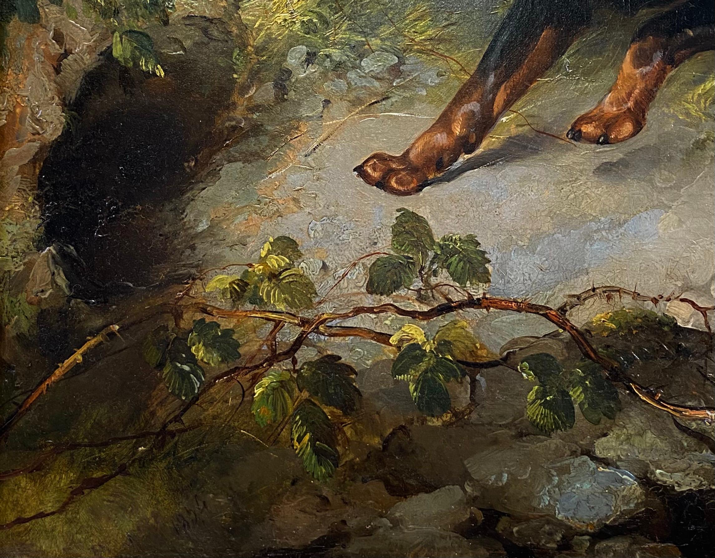 Un exemple fantastique des célèbres portraits de chiens de George Armfield.

Cette œuvre représente un Manchester Terrier se tenant avec excitation à l'extérieur d'un terrier de lapin à la lisière d'une forêt. Le terrier est peint en partie de