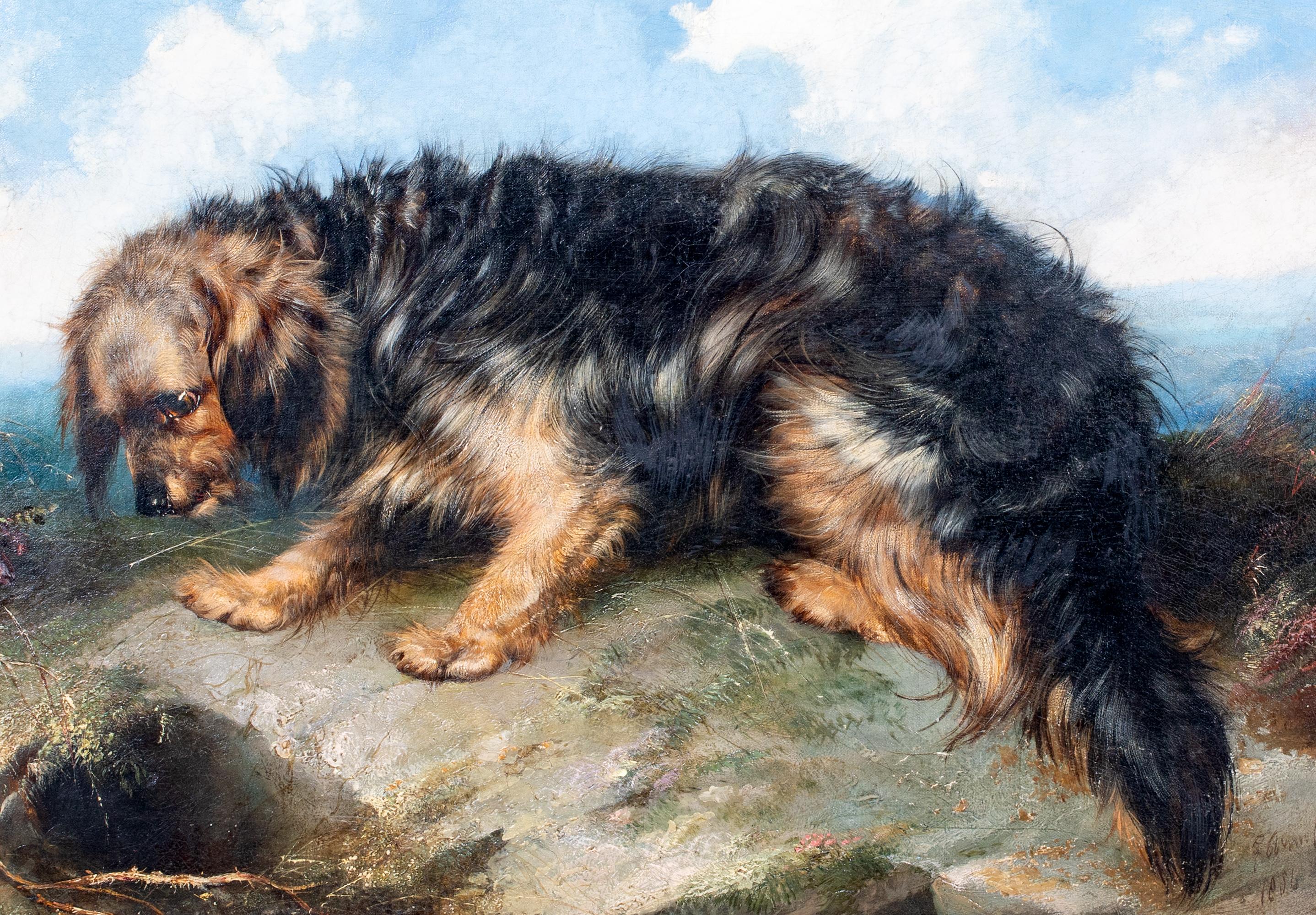 Portrait Of A Terrier, dated 1865  by George Armfield (1808-1893) For Sale 1