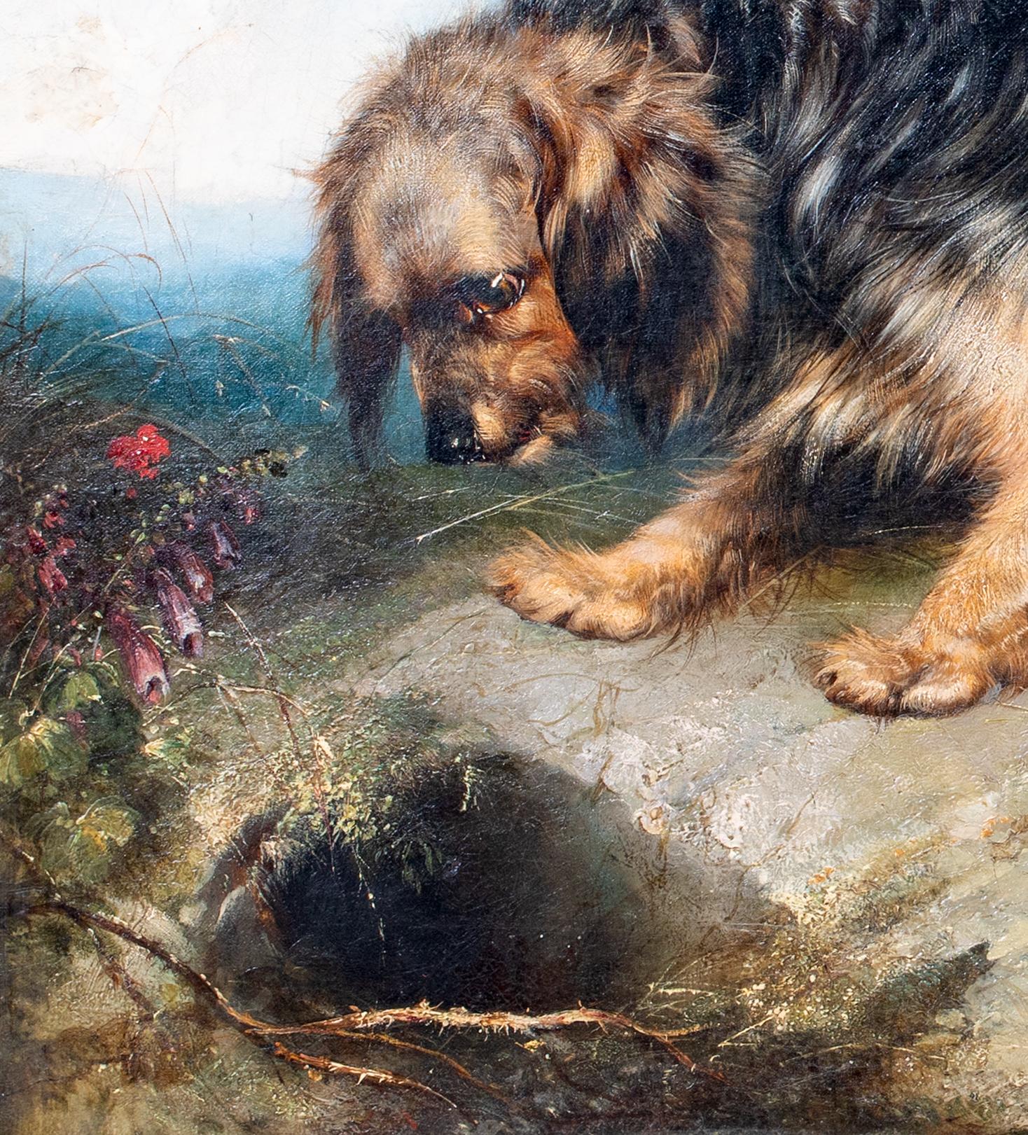 Portrait Of A Terrier, dated 1865  by George Armfield (1808-1893) For Sale 2