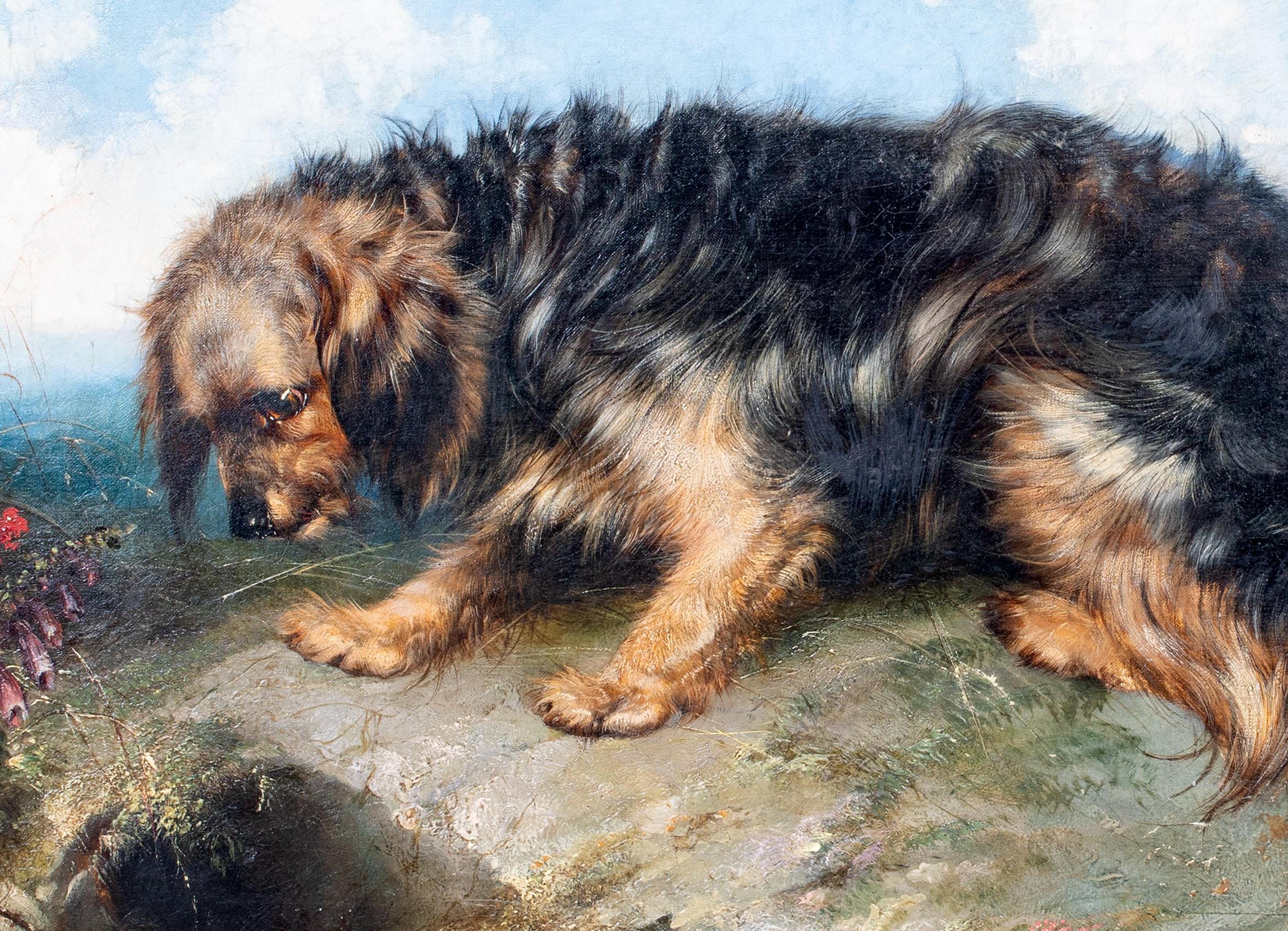 Portrait Of A Terrier, dated 1865  by George Armfield (1808-1893) For Sale 4