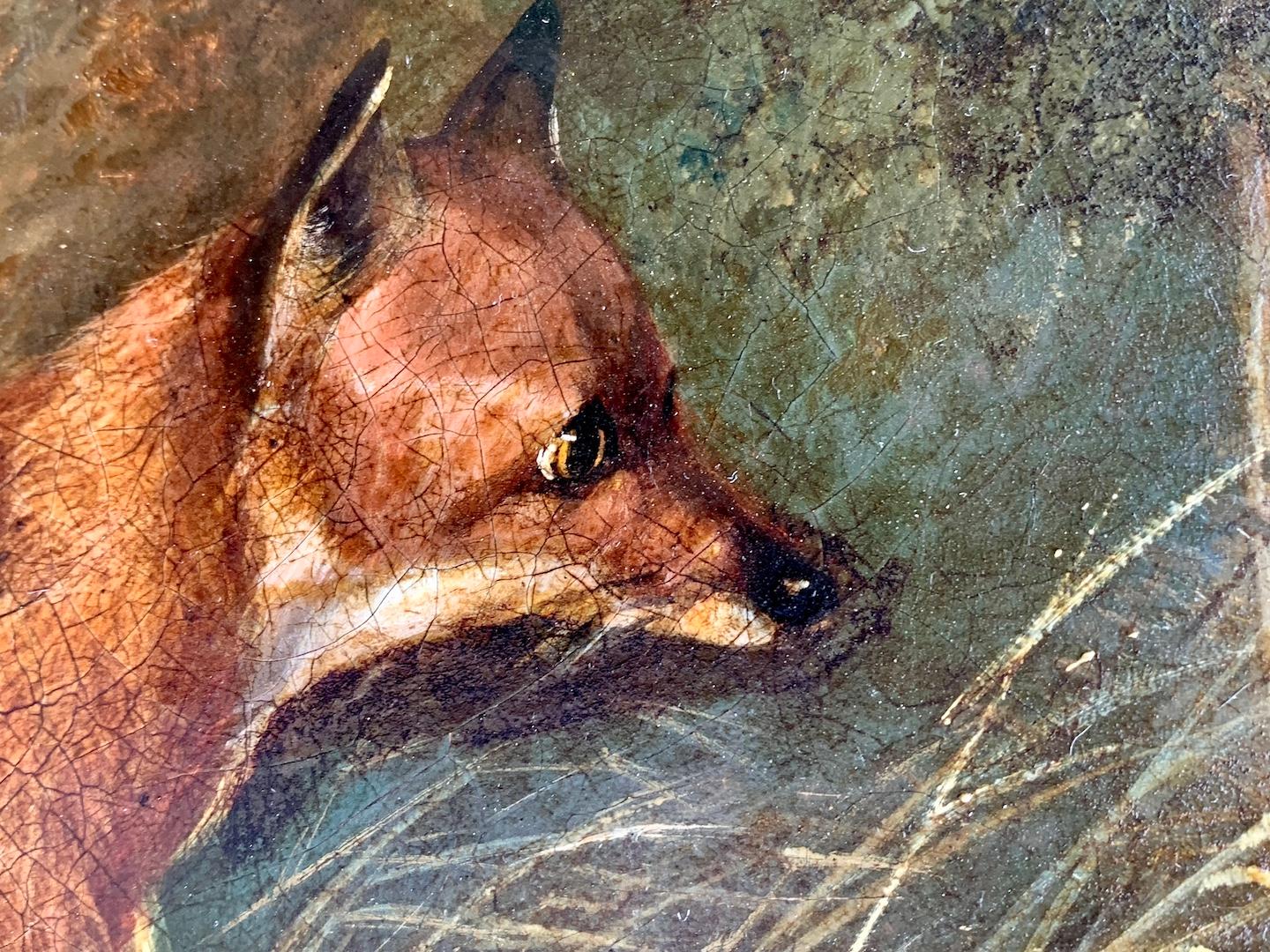 Rare Antique Victorian English 19th C portrait of Fox in a landscape 2