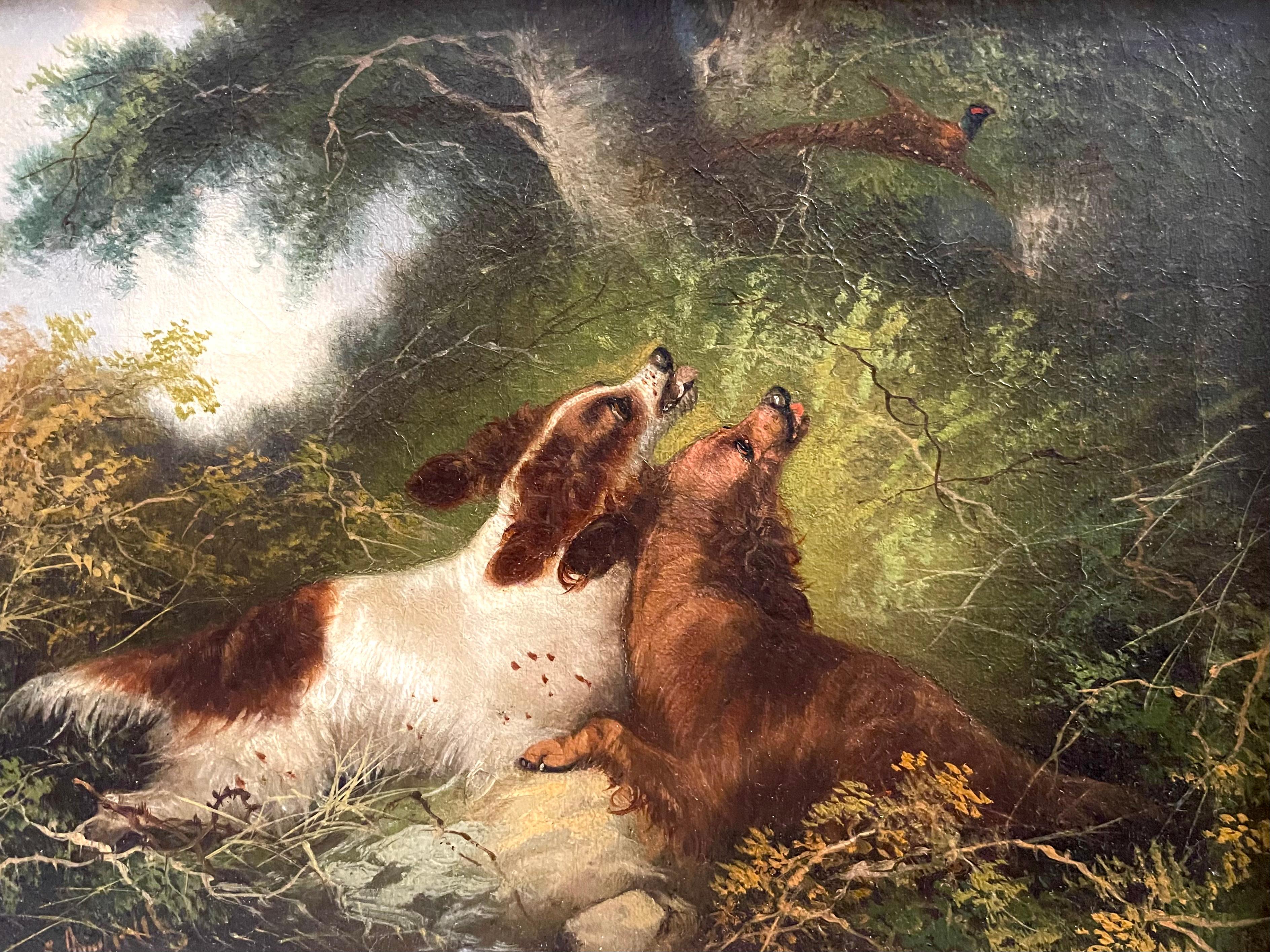 Charming oil painting on canvas by renowned genre artist George Armfield (1808-1893), of two dogs chasing a pheasant. The expression of  sheer dog happiness in the chase. and the pheasant at a safe distance, contribute to the delightful character of