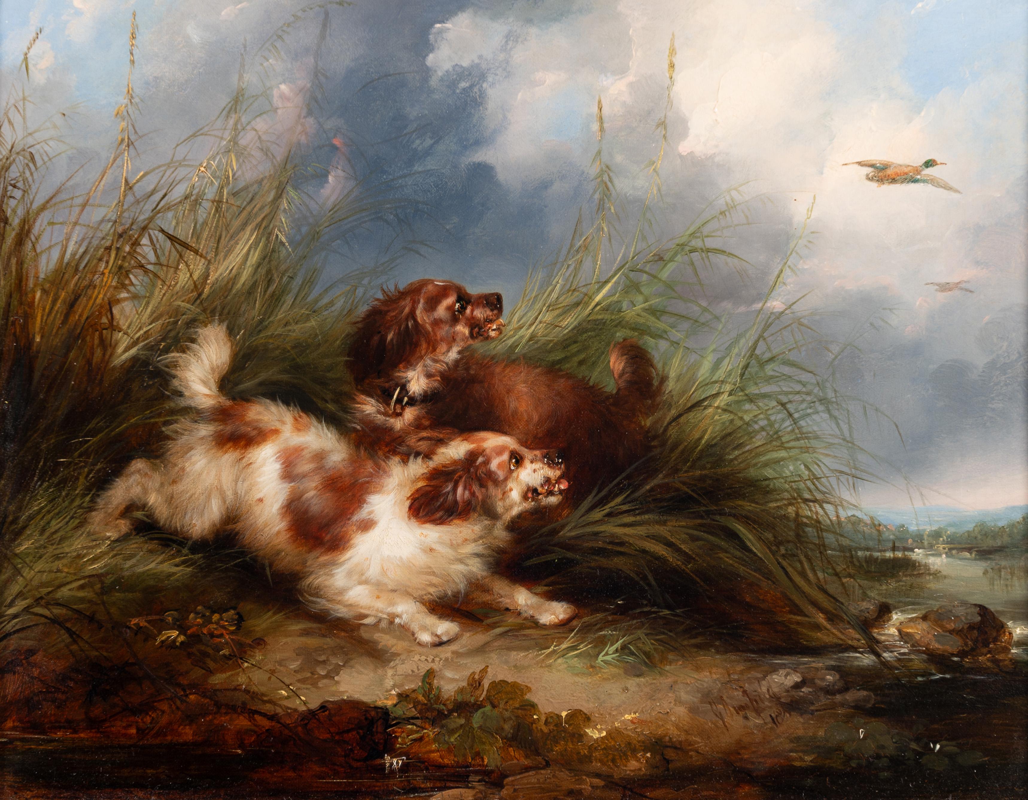 Spaniels spülen Stockente – Painting von George Armfield