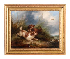 Spaniels flushing mallard