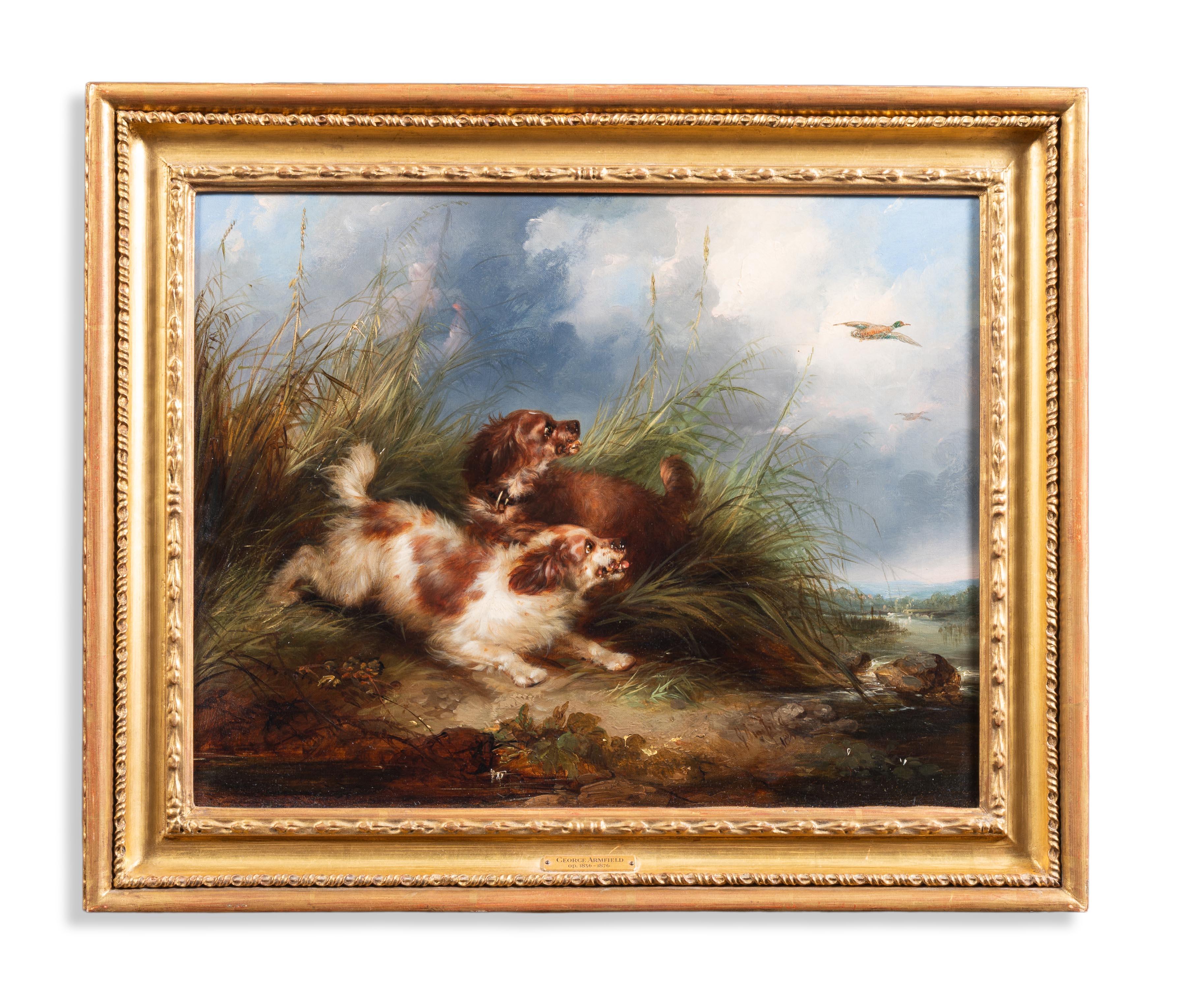 George Armfield Animal Painting - Spaniels flushing mallard