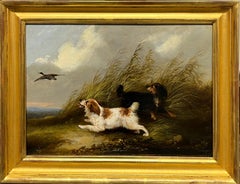 Spaniels putting up a duck
