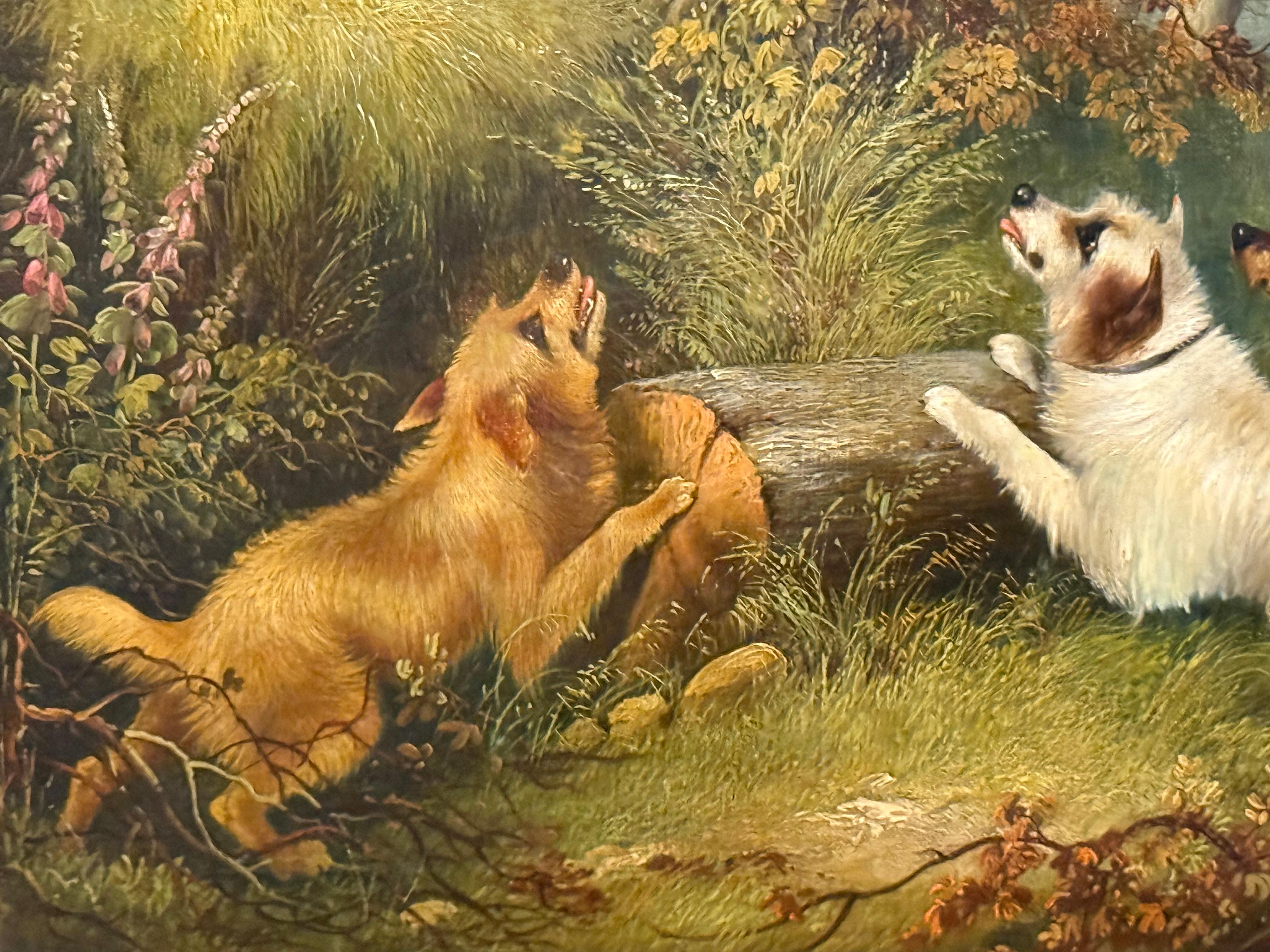 Terriers and Fox in Woodland 19th century im Angebot 11
