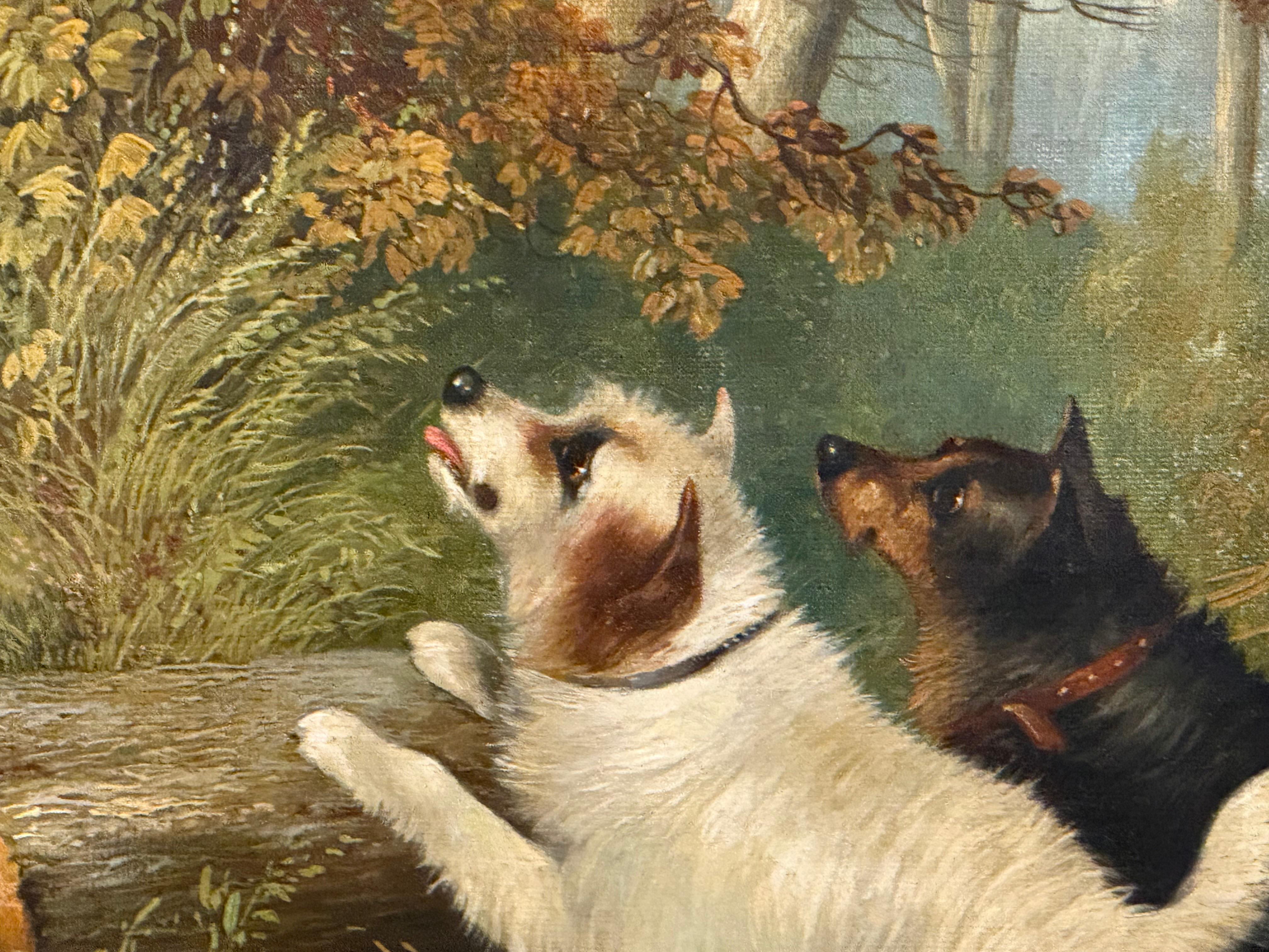Der Fuchs und drei Terrier in einer Waldlandschaft ist ein Werk des berühmten Tier- und Landschaftsmalers George Armfield (1810-1893).  Armfield ist bekannt für seine Bilder von Spaniels und Terriern in üppigen Wäldern und Küstenlandschaften.  Das
