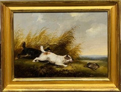 Terriers chasing a rabbit
