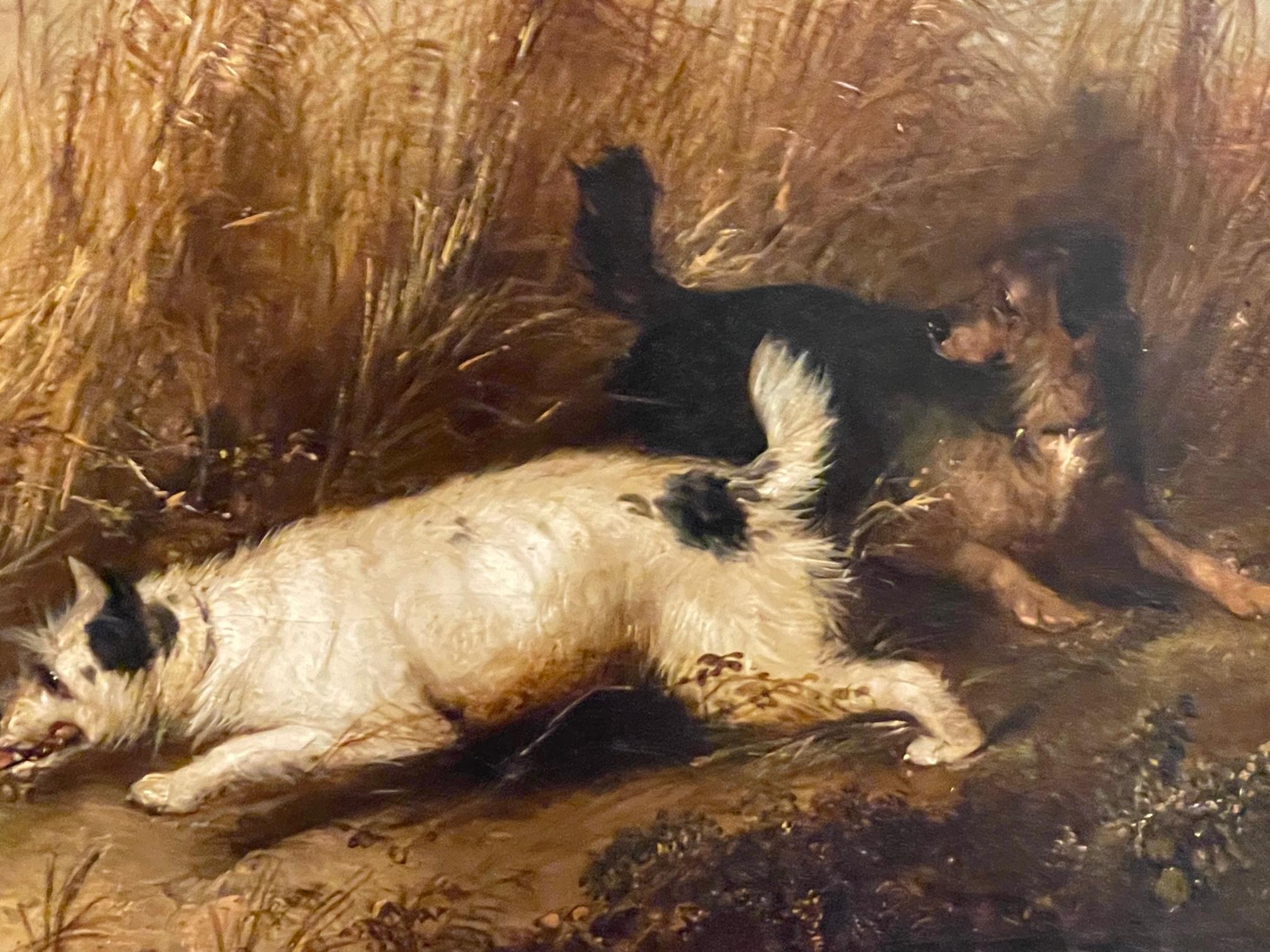 Terrier auf Kaninchenjagd und Spaniels auf Entenjagd 8