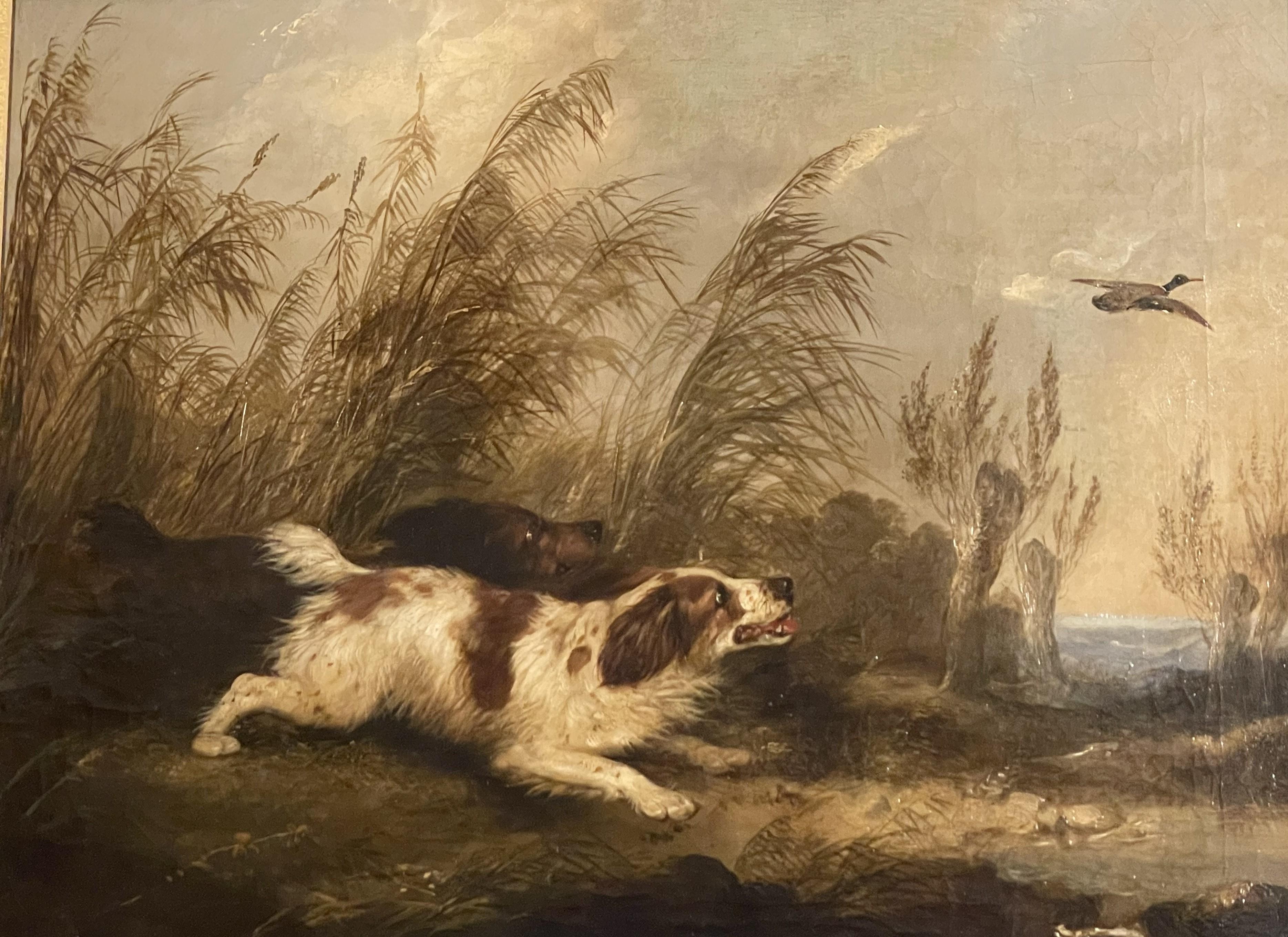 Pair of fine oil paintings, one with terriers chasing a rabbit and one with spaniels flushing duck, both are set on Scottish/British dunes by the sea. These are Victorian 19th century paintings on canvas in the style of George Armfield, unsigned. 