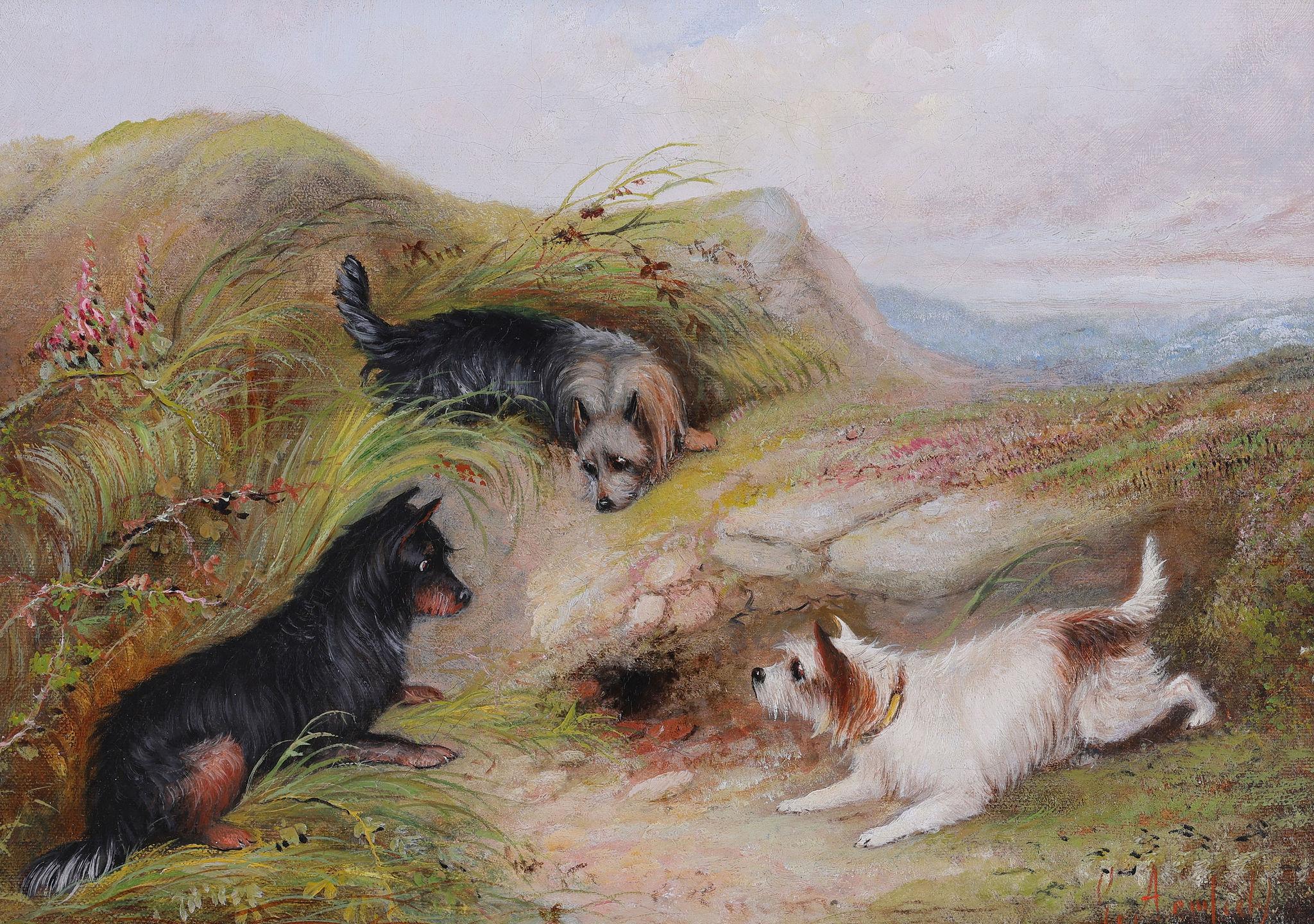 Tres perros Terrier junto a una madriguera de conejos. Óleo sobre lienzo de George Armfield en venta 1