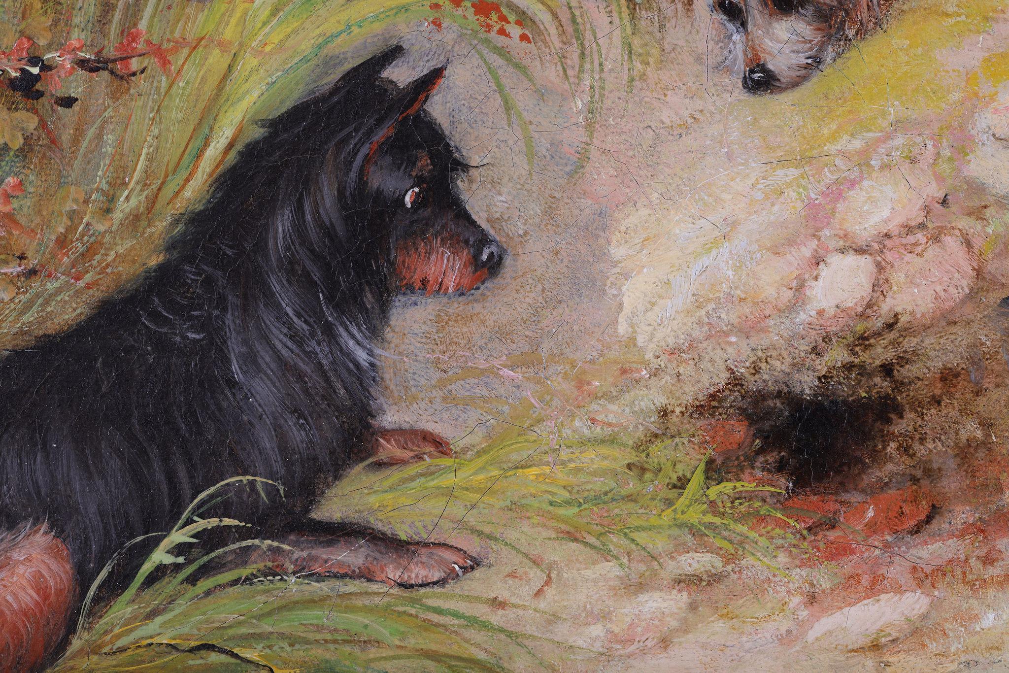 Tres perros Terrier junto a una madriguera de conejos. Óleo sobre lienzo de George Armfield en venta 2