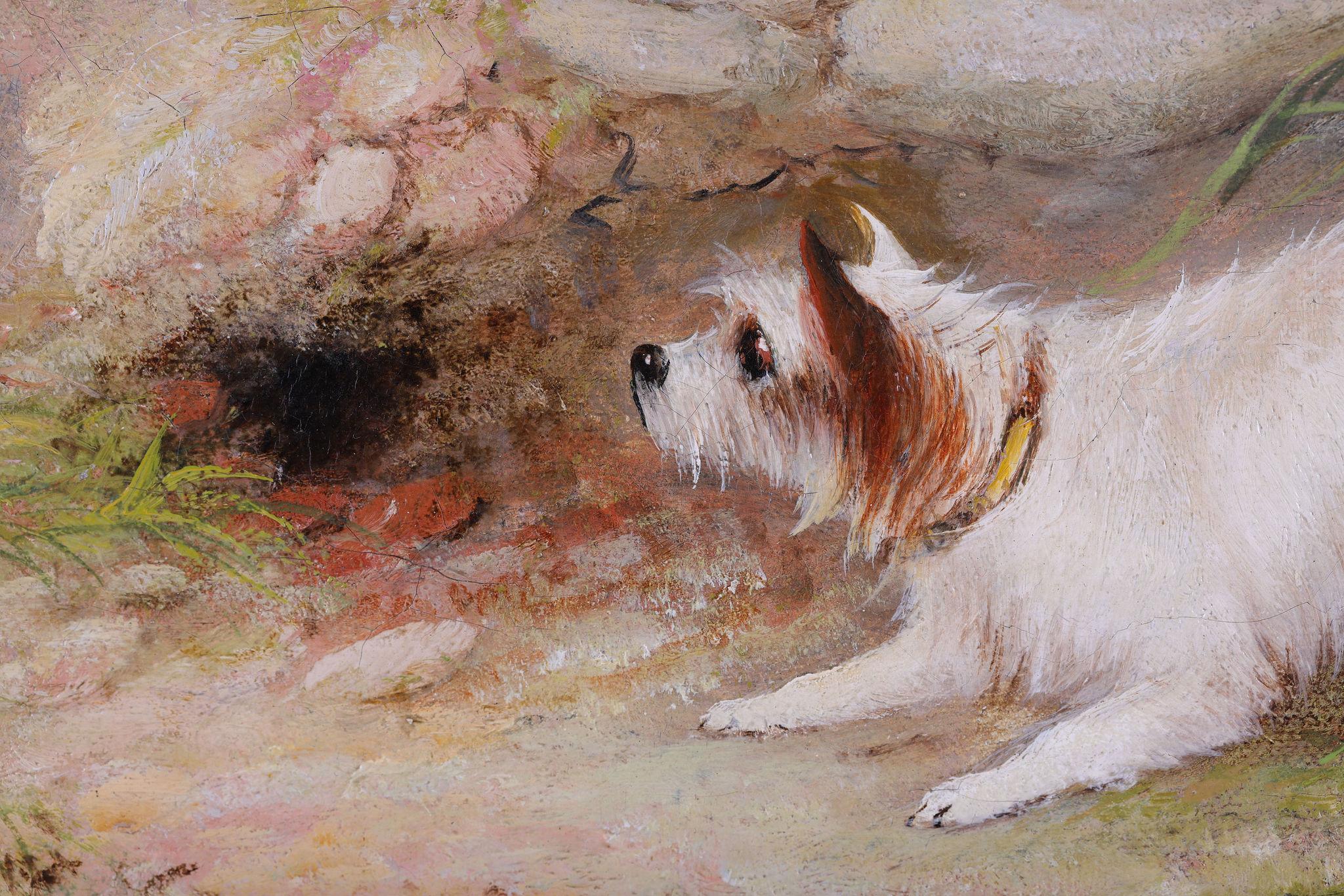 Tres perros Terrier junto a una madriguera de conejos. Óleo sobre lienzo de George Armfield en venta 5