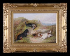 Drei Terrier-Hunde an einem Kaninchenholz. Ölgemälde auf Leinwand von George Armfield