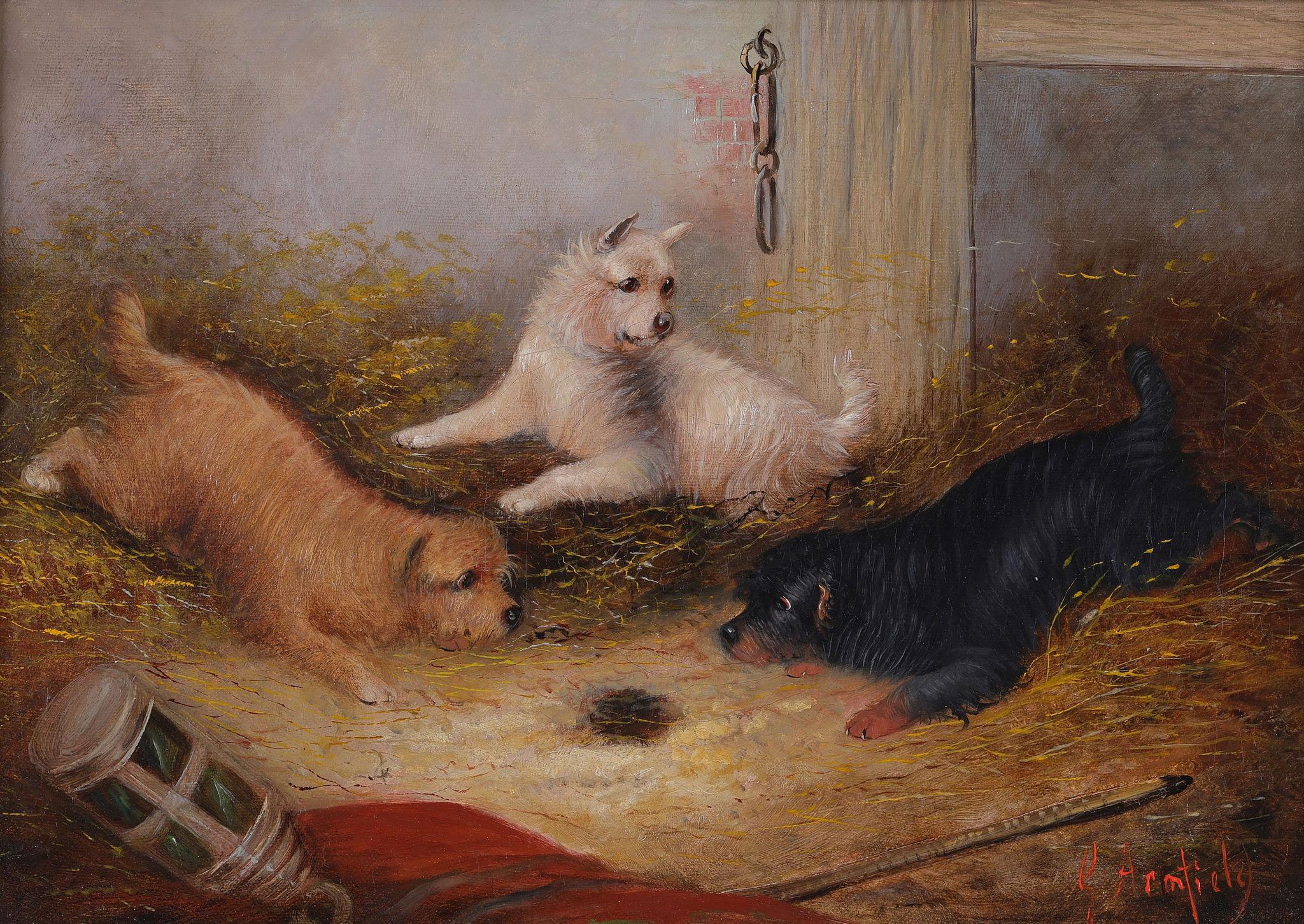 Three Terrier Dogs in a Stable Interior. Oil on Canvas by George Armfield For Sale 1